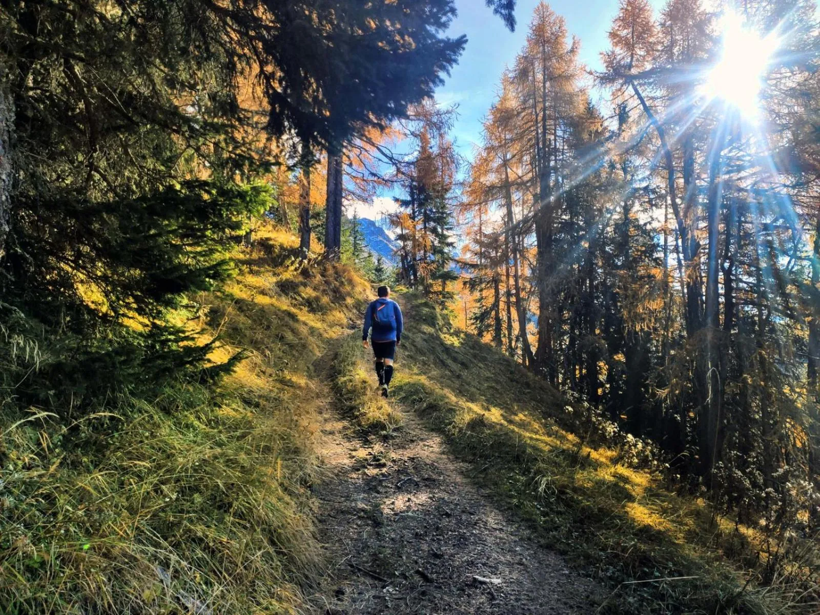 Hiking in Appartement Haus Talblick