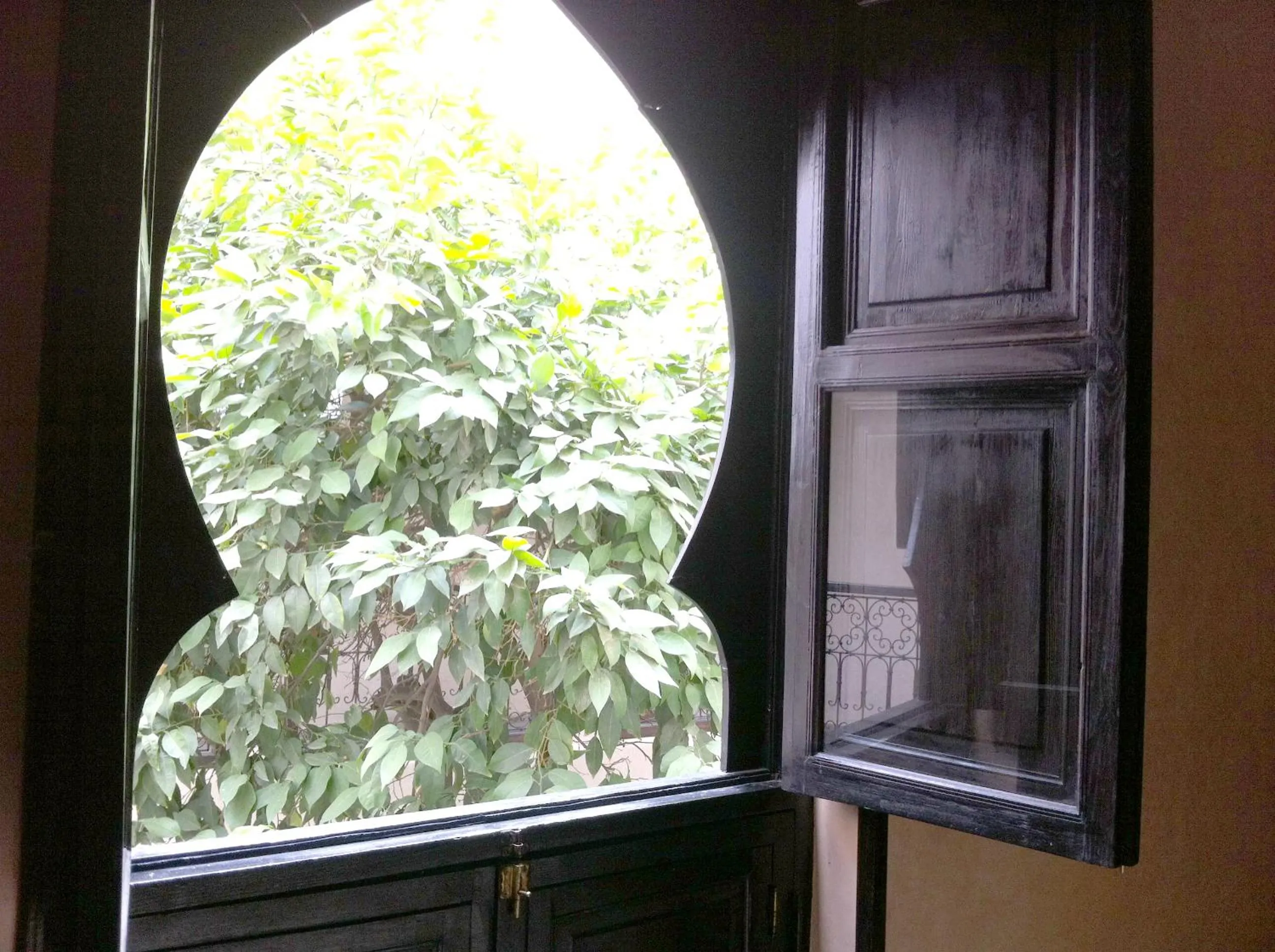 Patio in Riad Le Bel Oranger