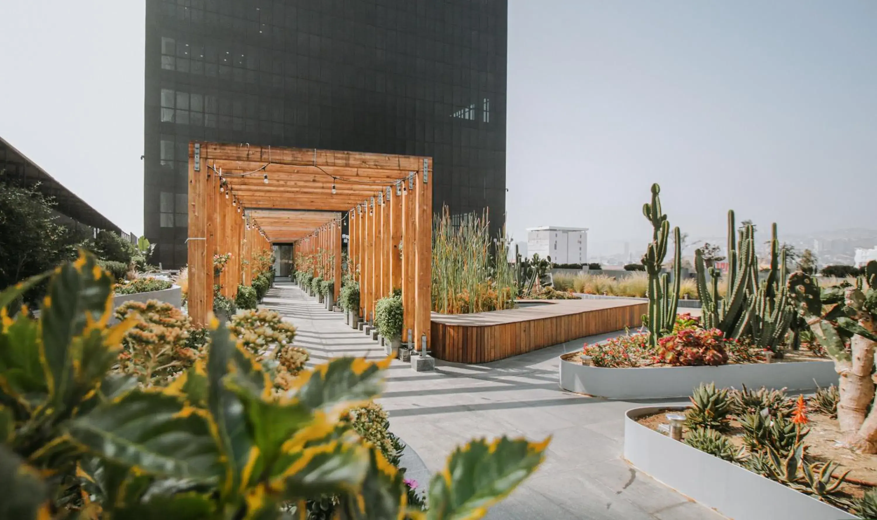 Garden view in QUARTZ HOTEL & SPA Garden view in QUARTZ HOTEL & SPA