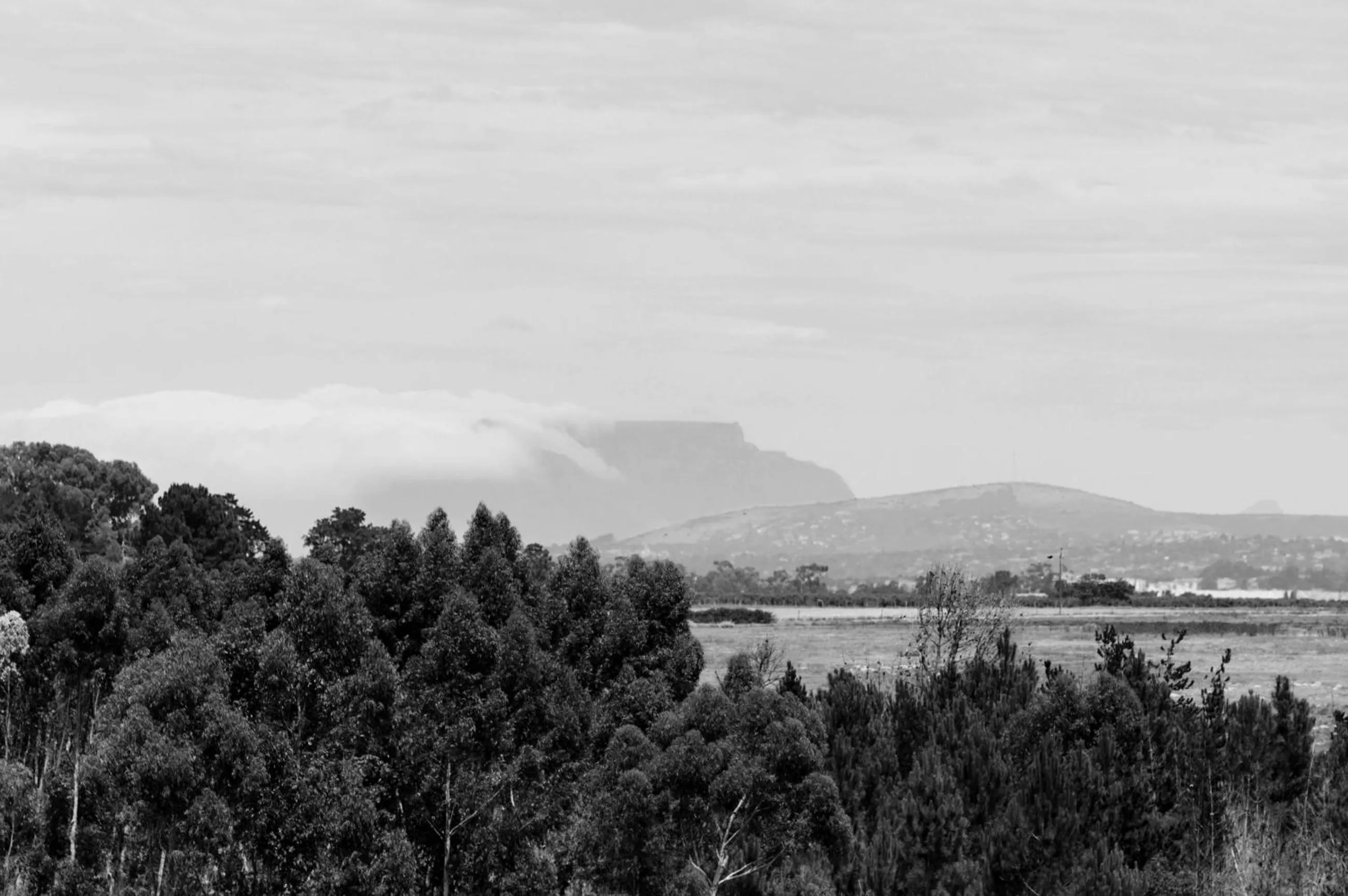 Day in Hawksmoor House