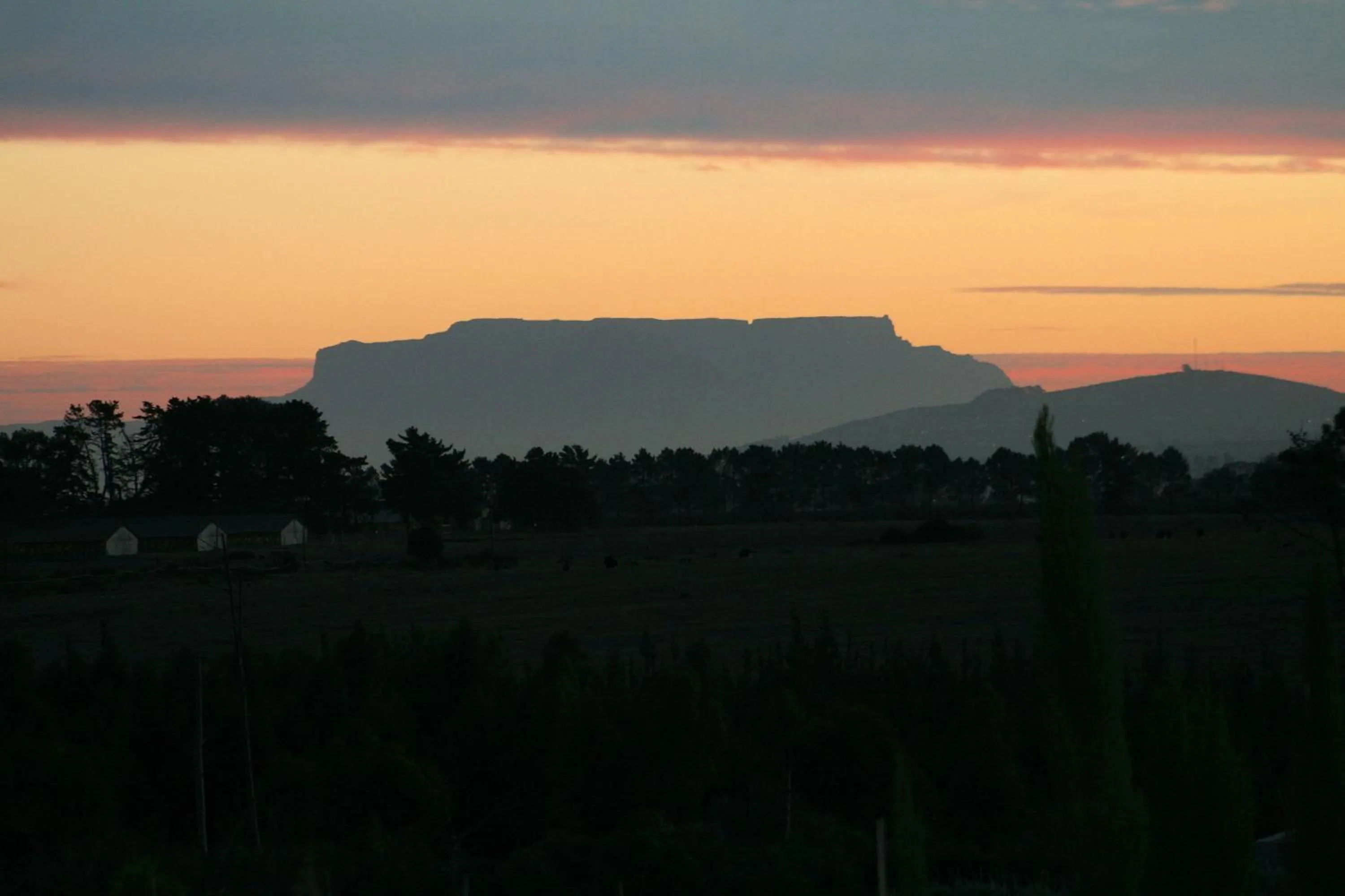 Garden in Hawksmoor House