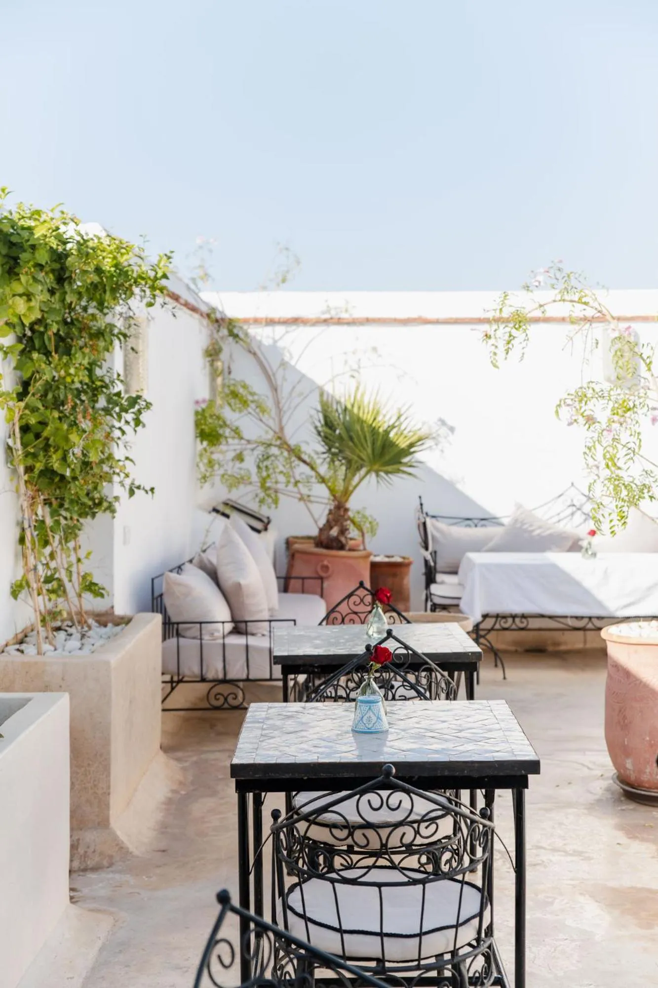 Balcony/Terrace in Riad Twilight