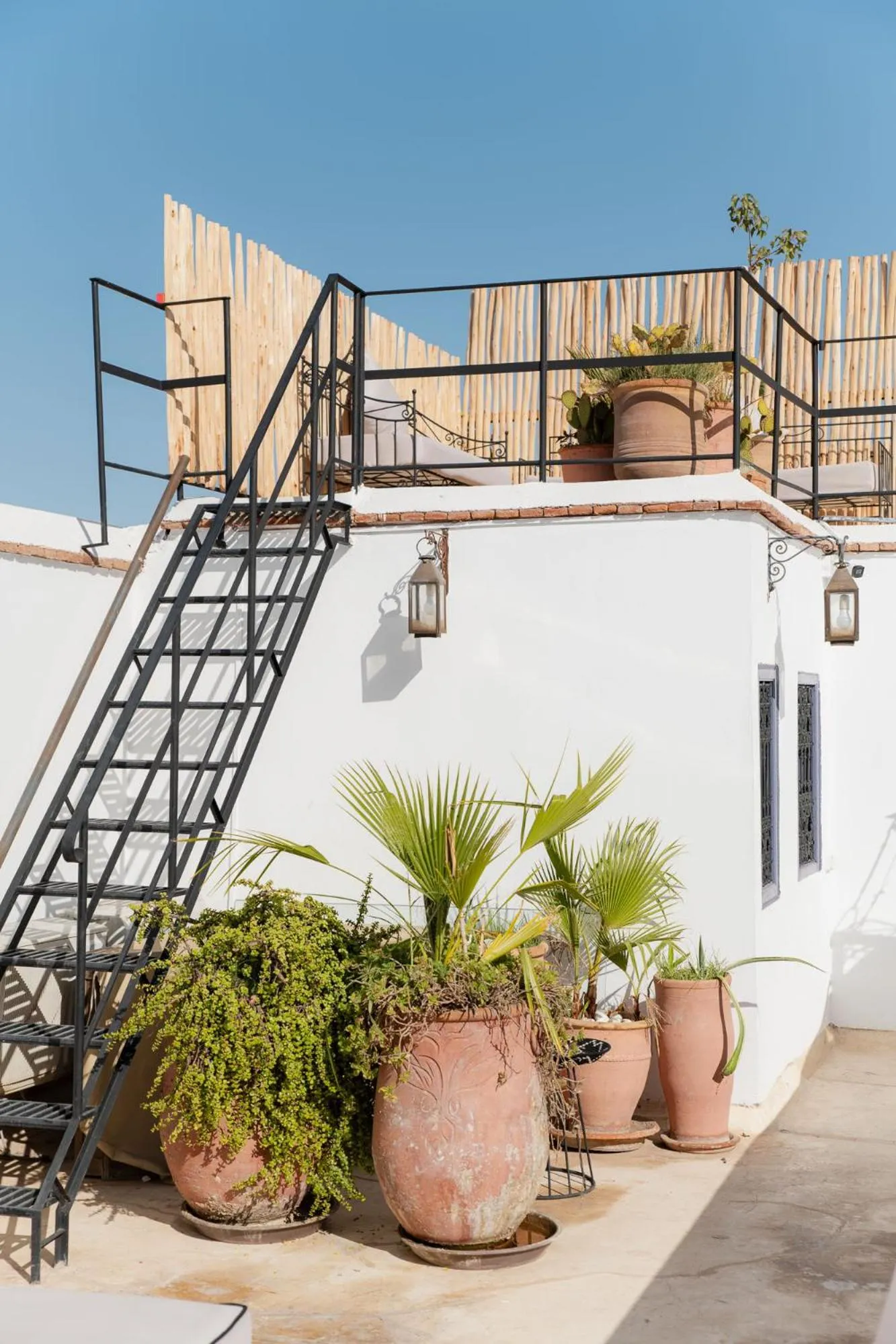 Balcony/Terrace in Riad Twilight