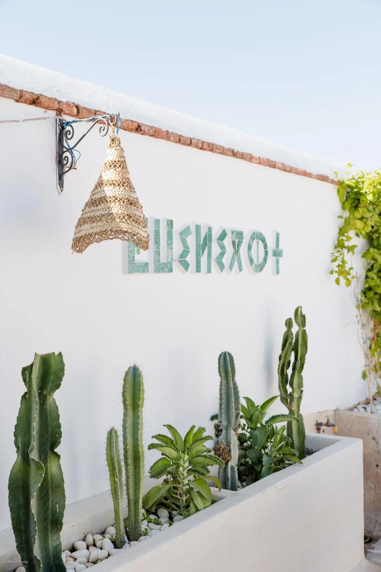Decorative detail in Riad Twilight