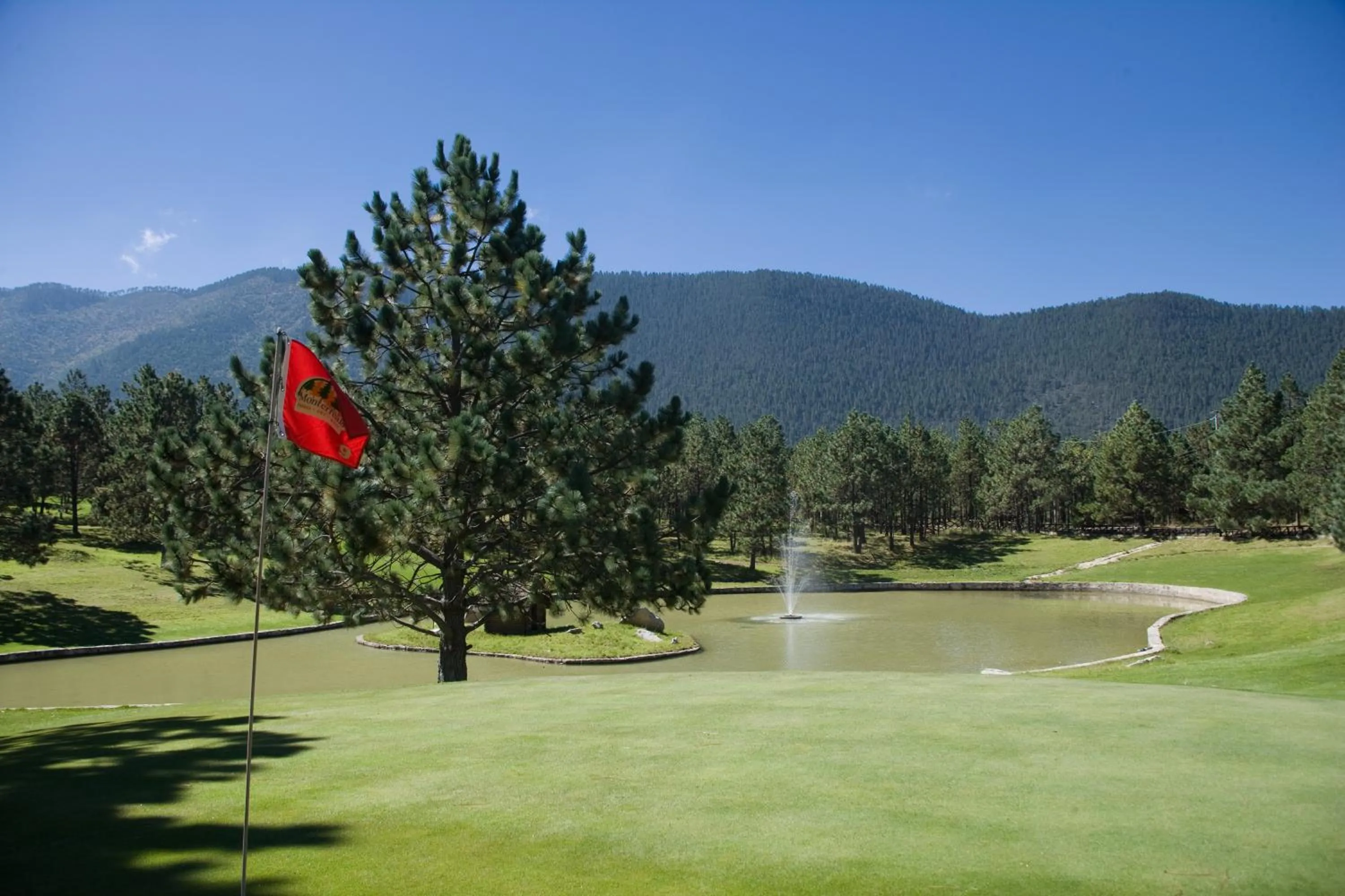 Summer in Bosques de Monterreal