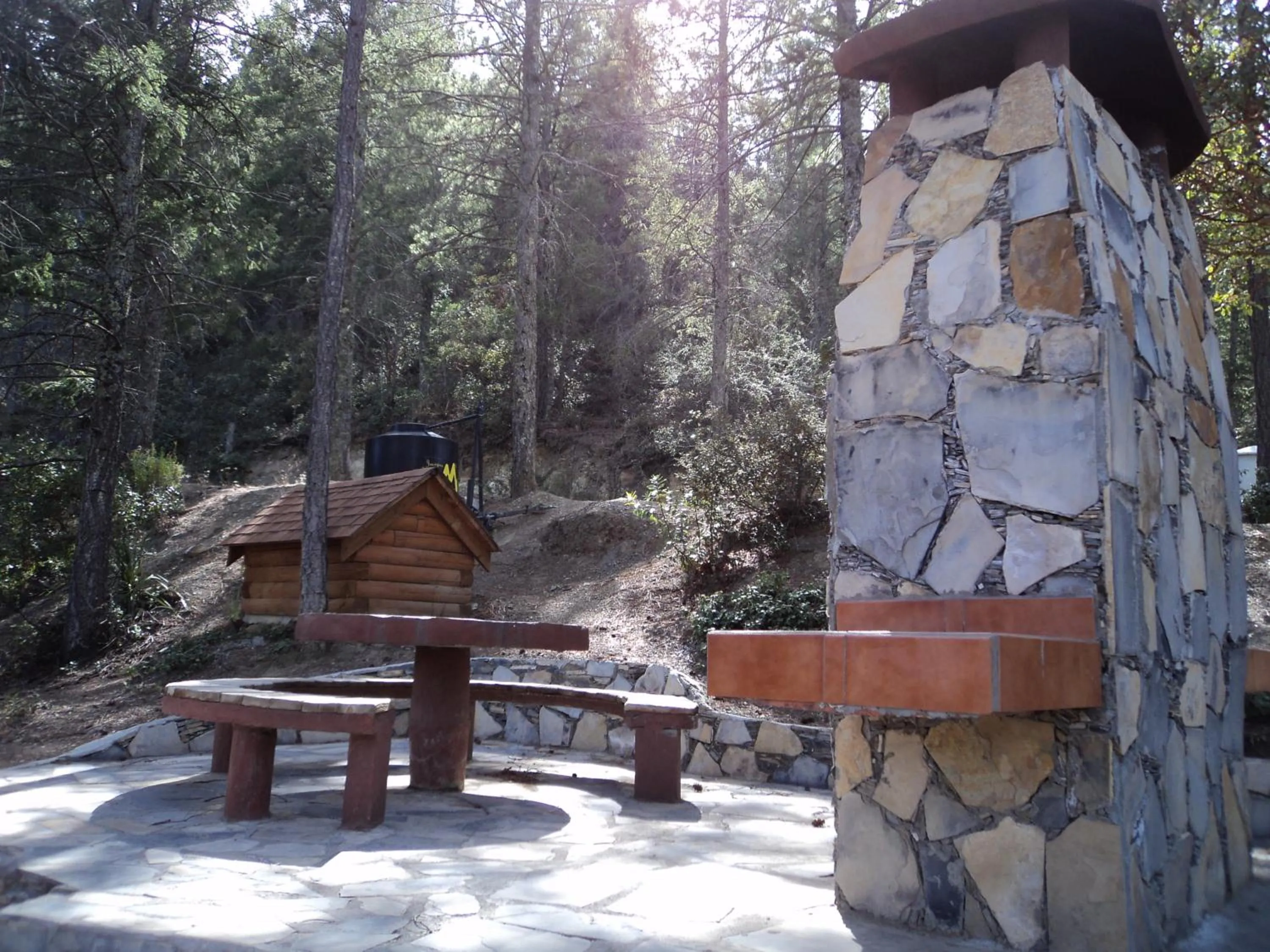 Patio in Bosques de Monterreal