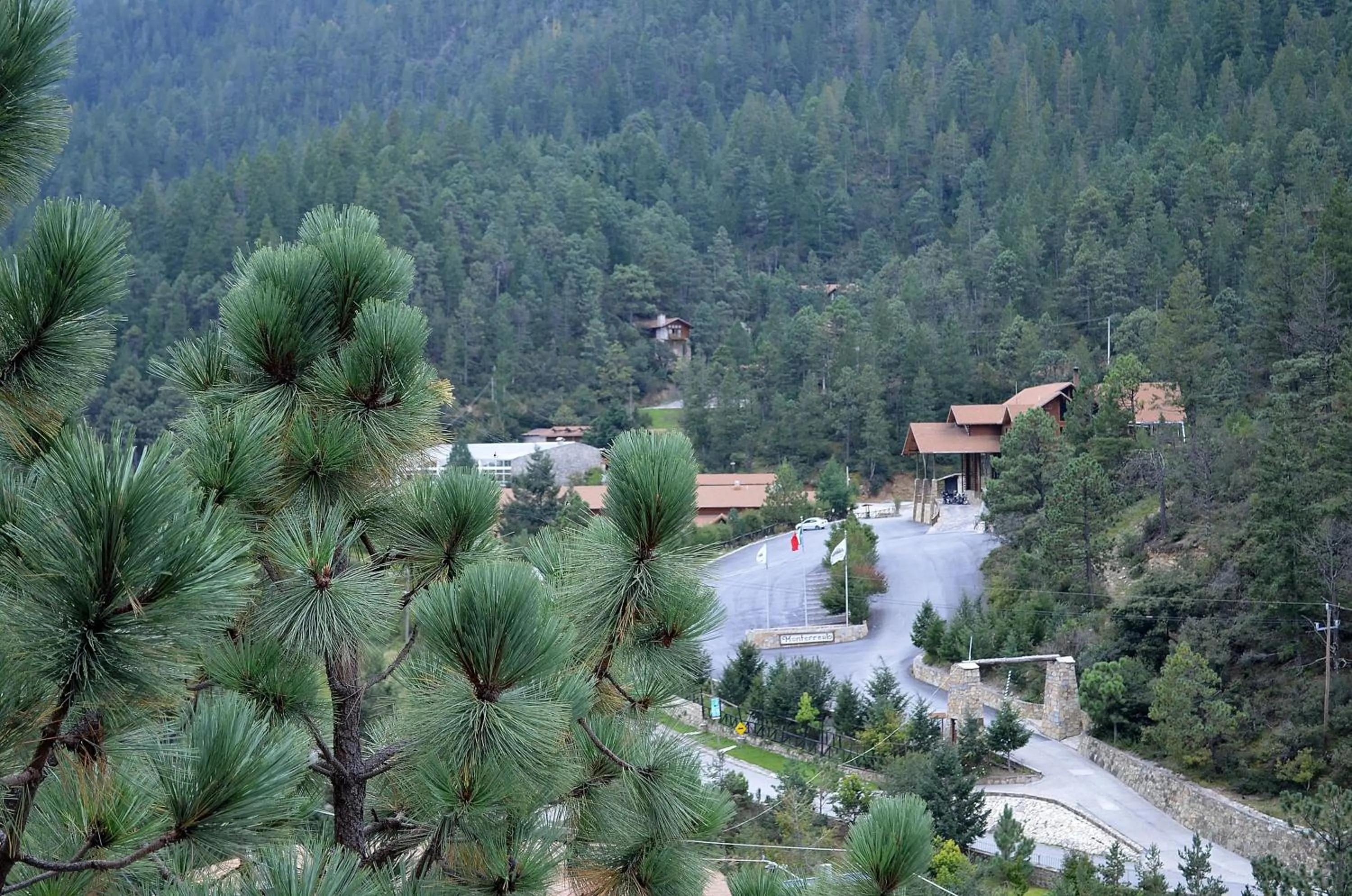 Off site in Bosques de Monterreal