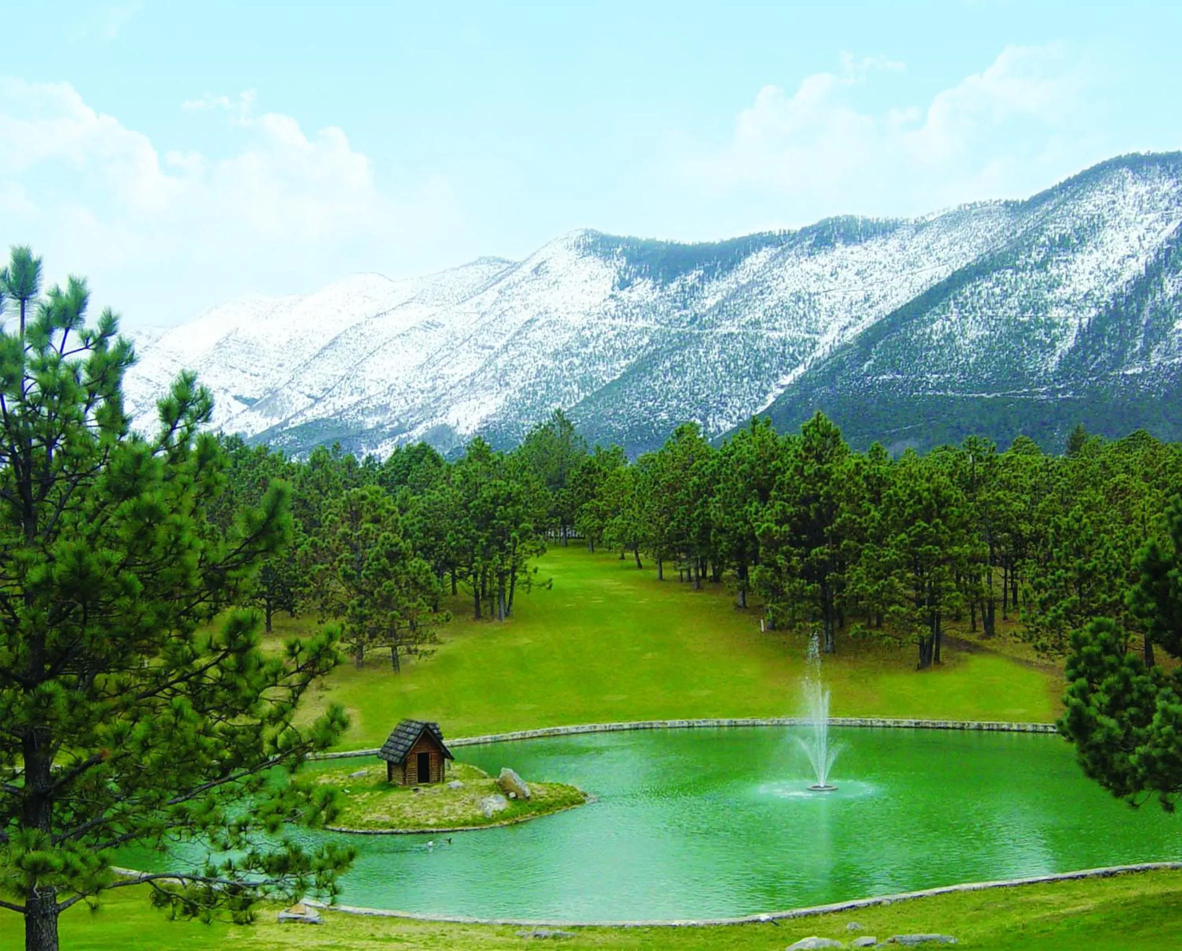 Winter in Bosques de Monterreal