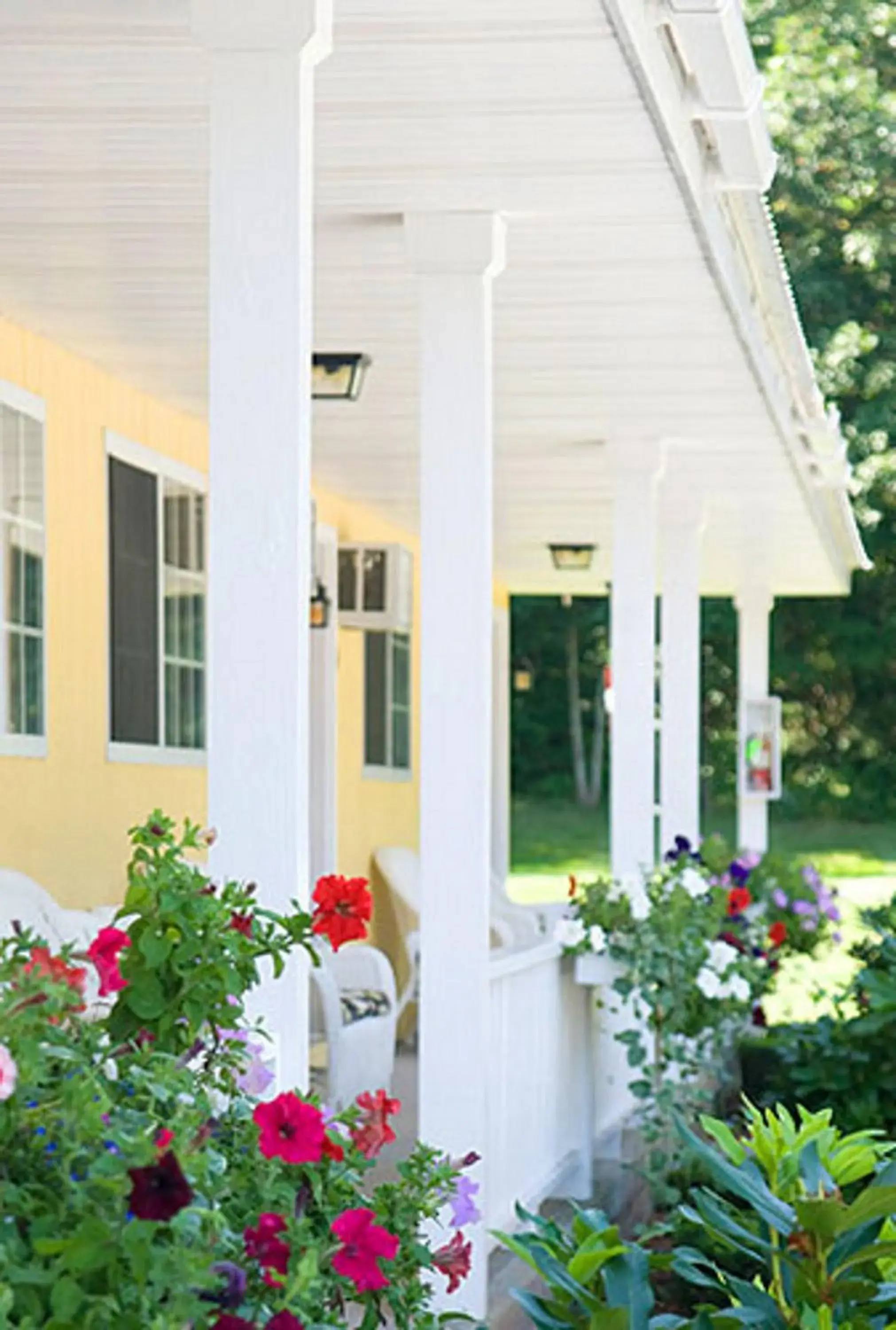 Deluxe Suite in Colonel Williams Resort and Suites Deluxe Suite in Colonel Williams Resort and Suites