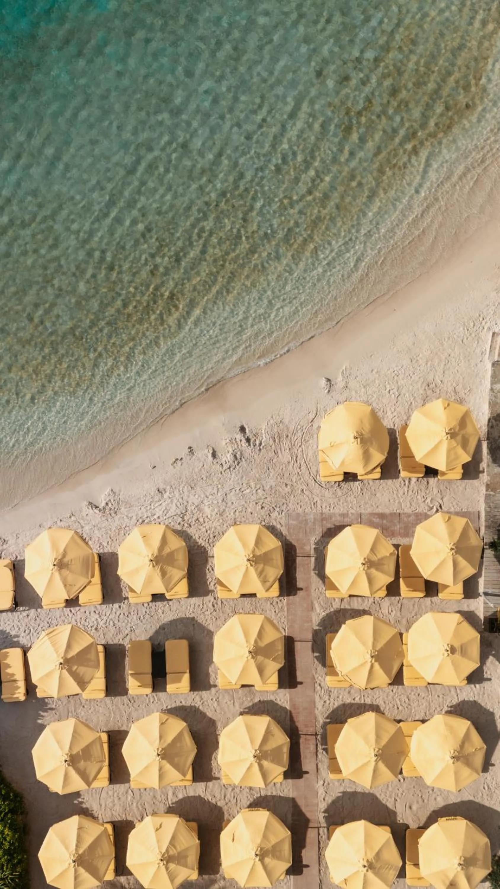 Beach in Bon Bini Resort Curacao
