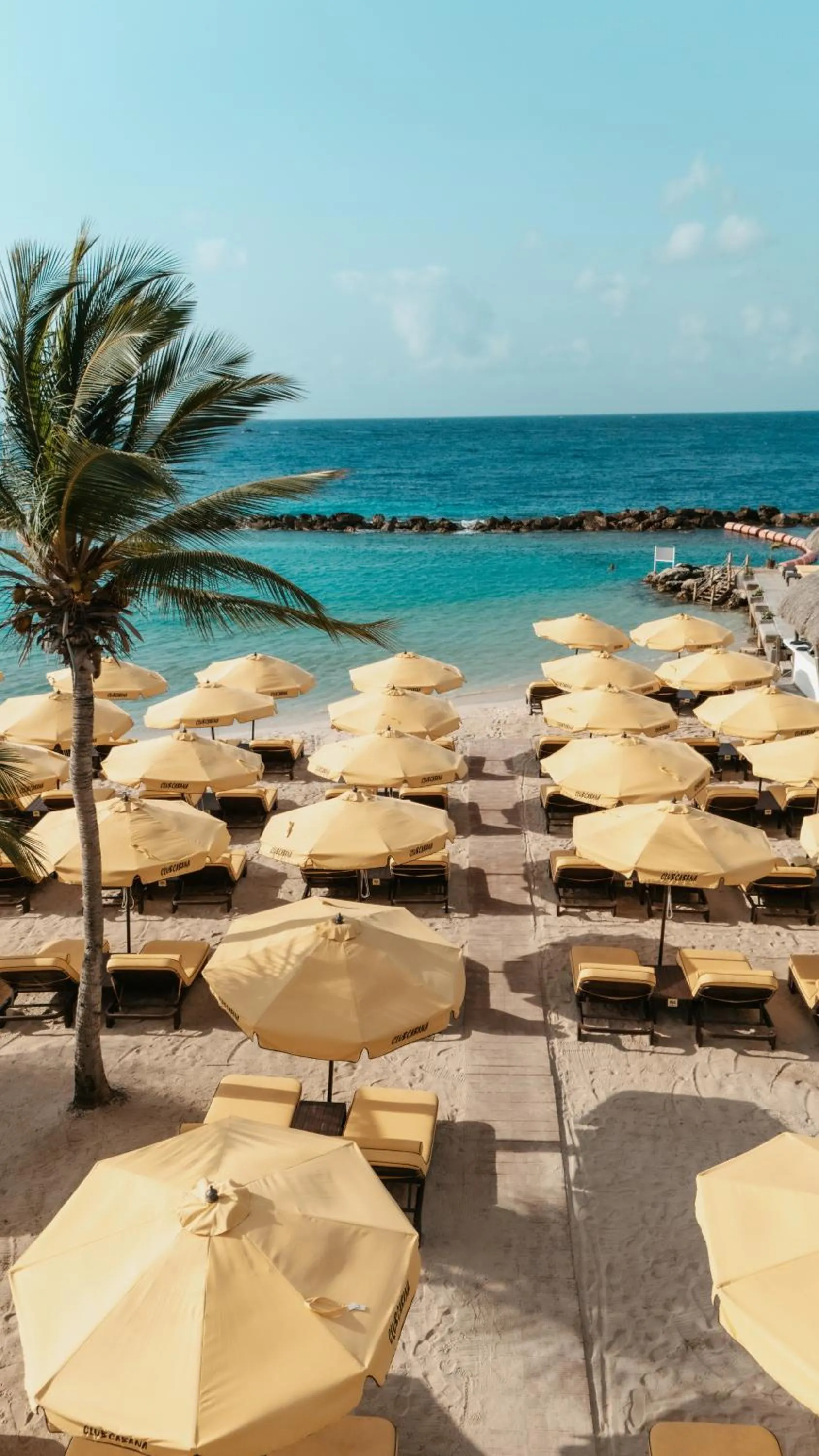 Beach in Bon Bini Resort Curacao