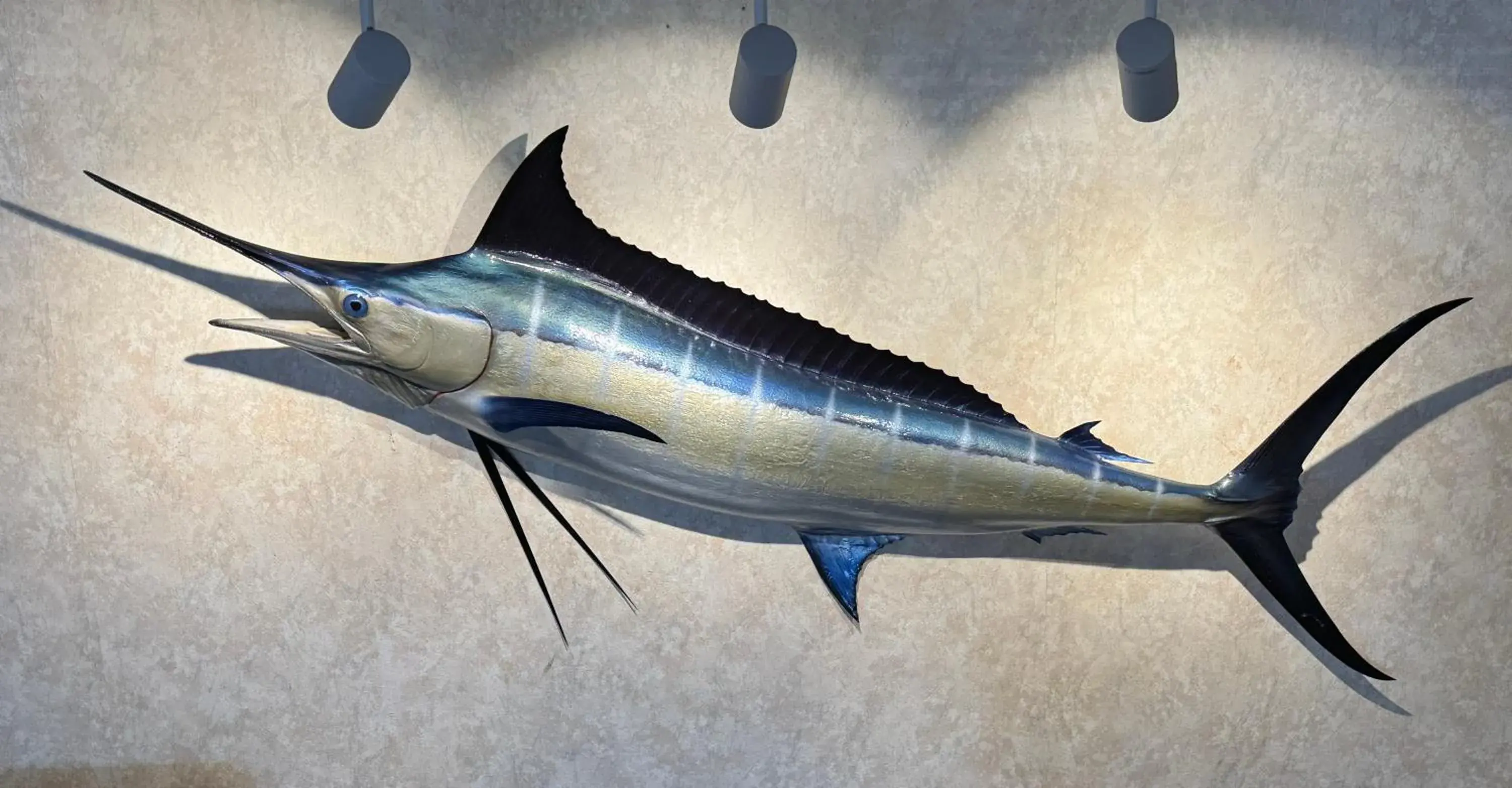 Lobby or reception in Hole Inn the Wall Hotel - Fort Walton Beach - Sunset Plaza - nearby Beaches & Hurlburt Lobby or reception in Hole Inn the Wall Hotel - Fort Walton Beach - Sunset Plaza - nearby Beaches & Hurlburt