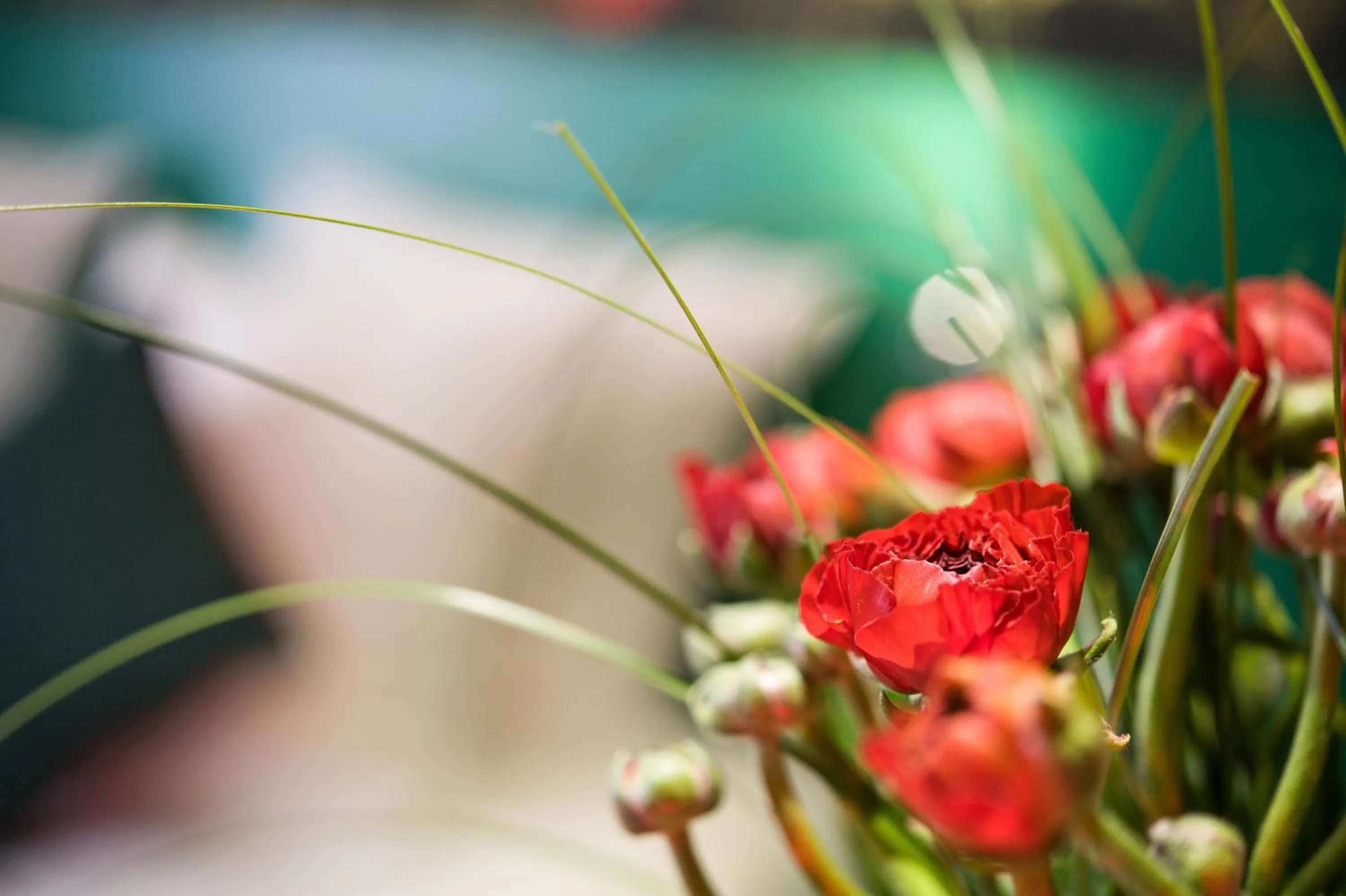 Bed in Jardins de Montmartre
