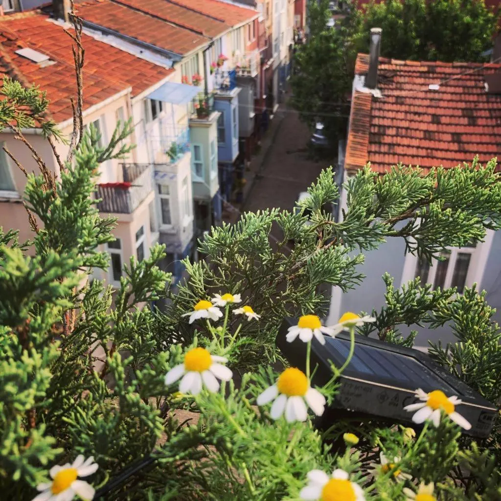 Elele Boutique Aparts