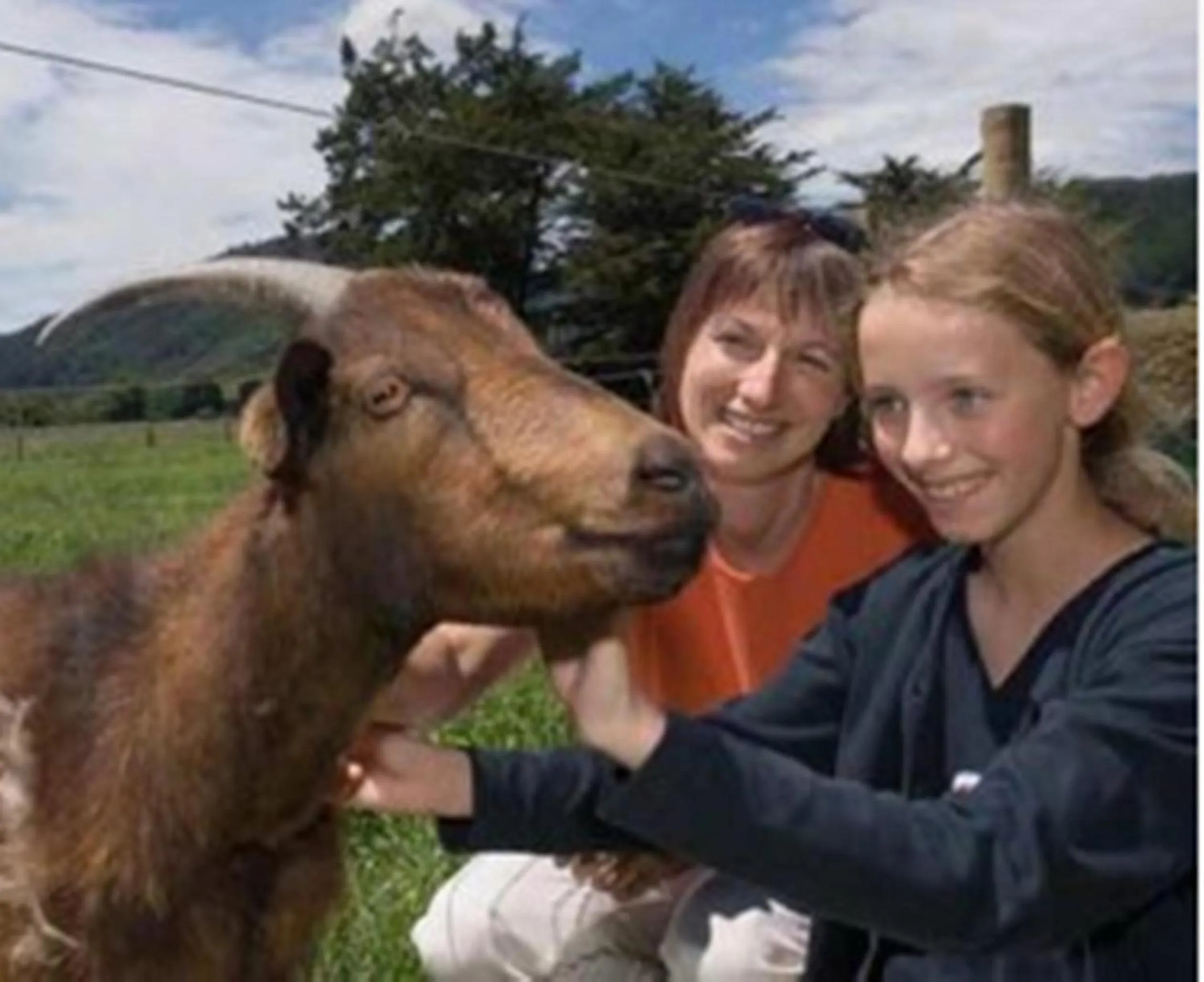 Pets in Smiths Farm Holiday Park
