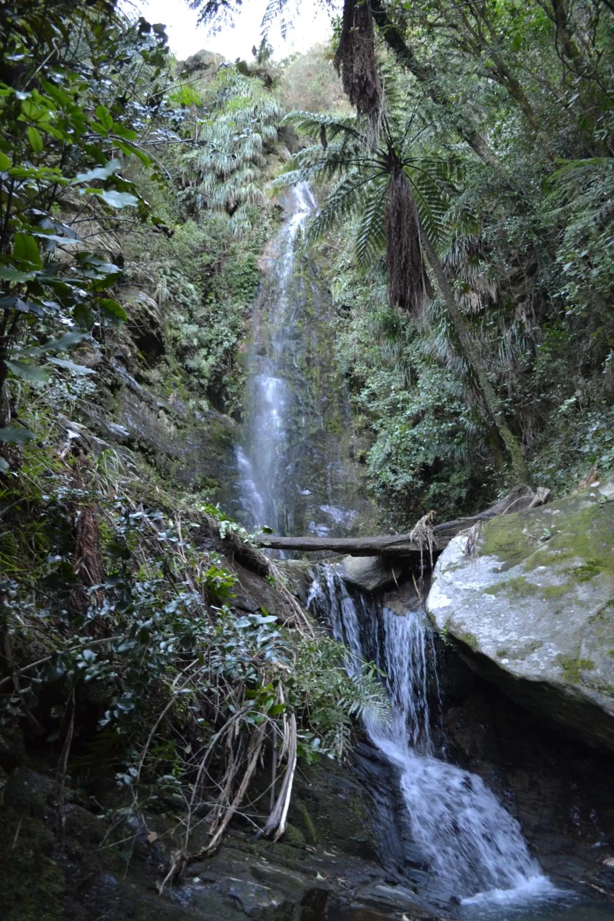 Activities in Smiths Farm Holiday Park