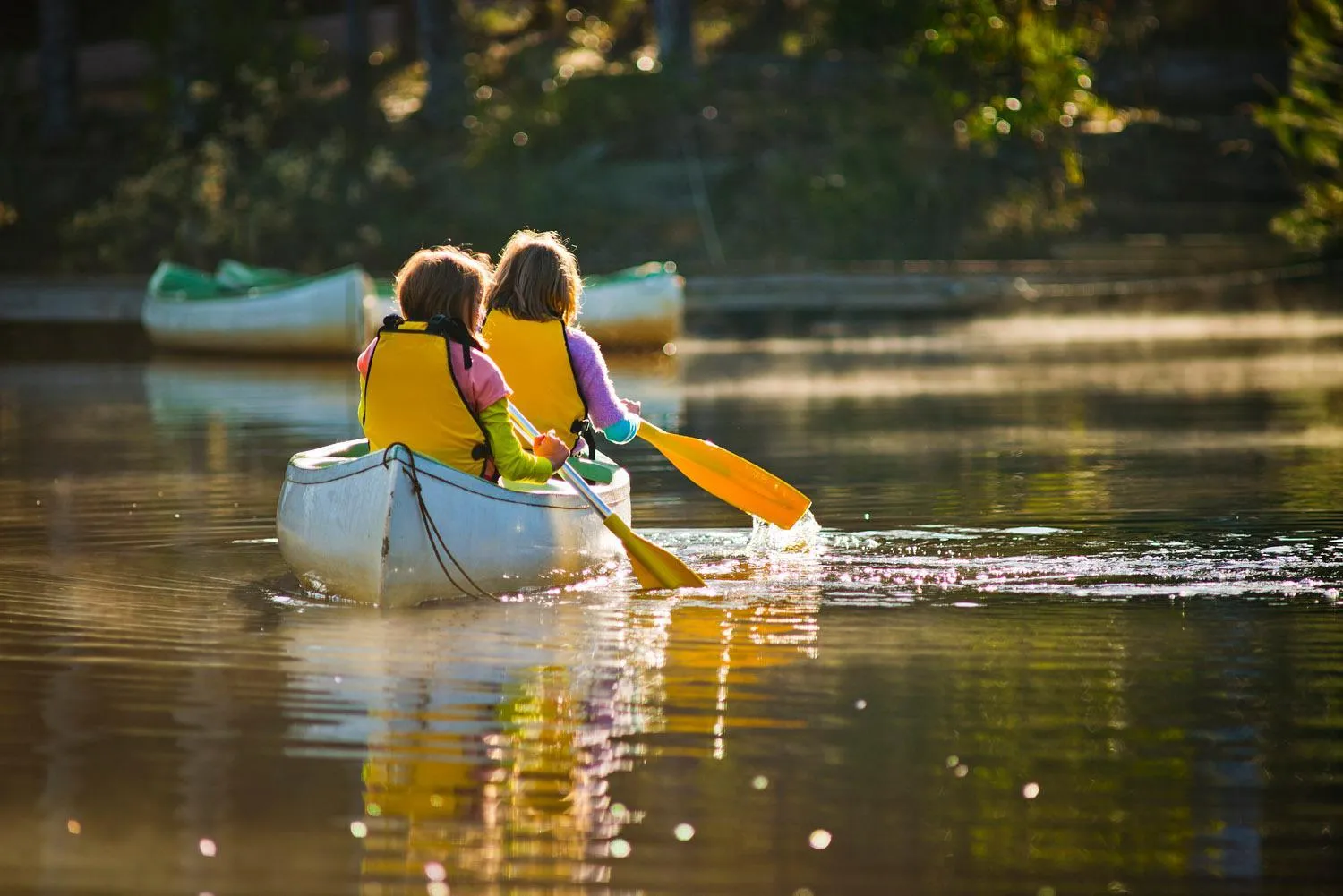 Activities in Kianinny Bush Cottages