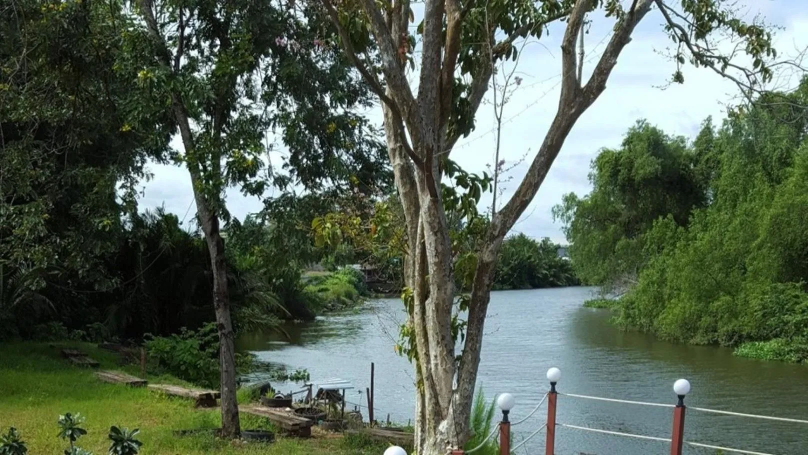 Garden in Like Residence