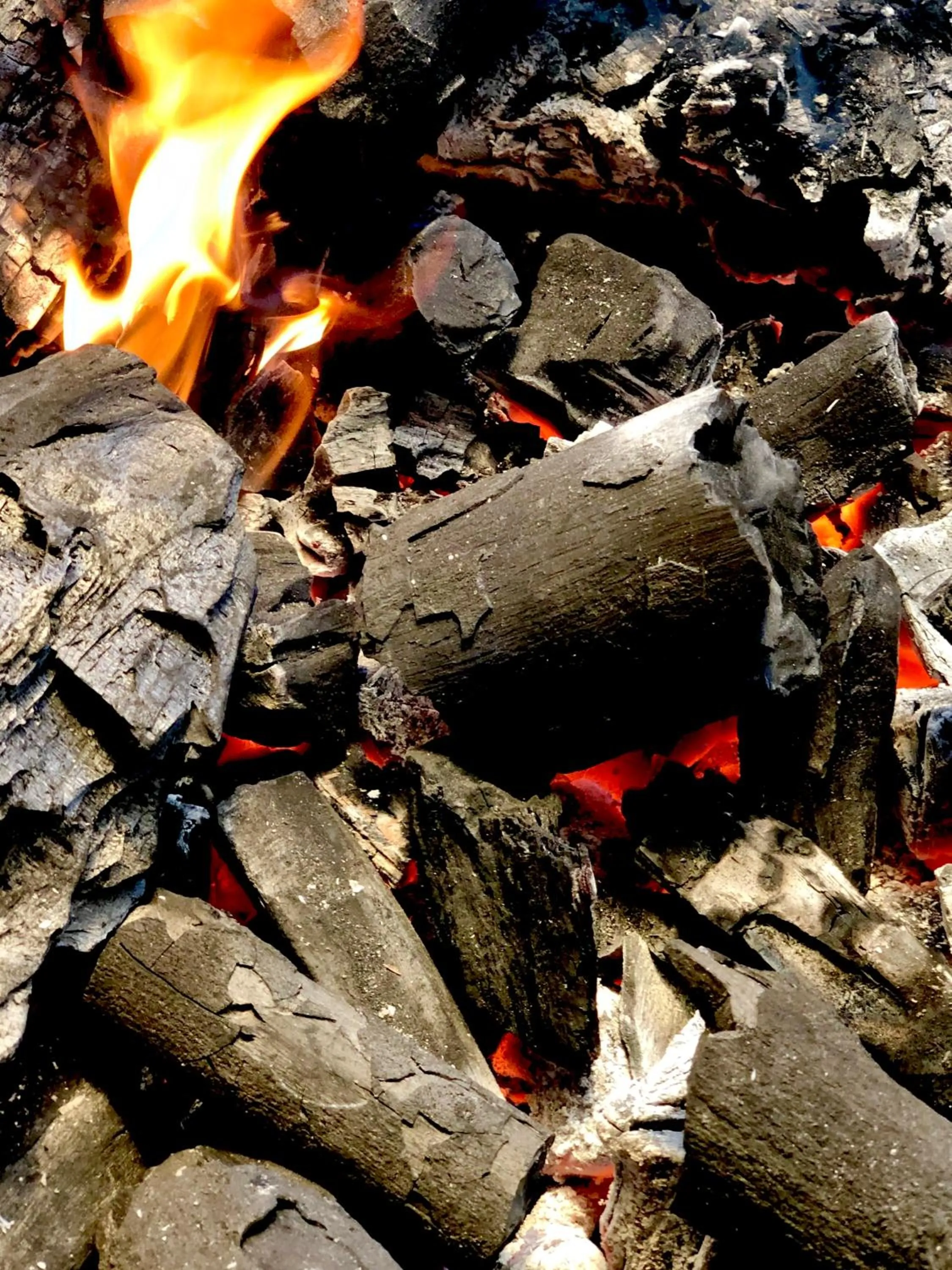 Restaurant/places to eat in Origin Uluwatu