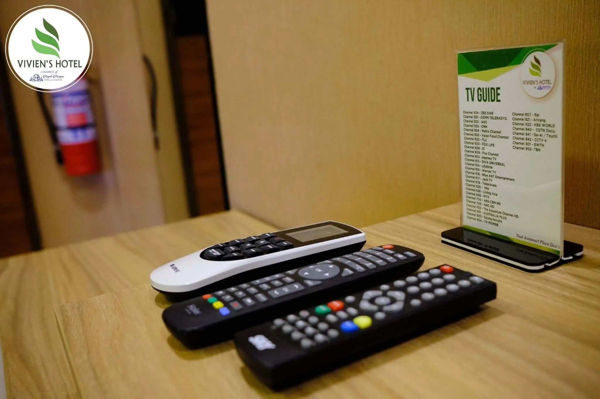 TV and multimedia in Vivien's Hotel