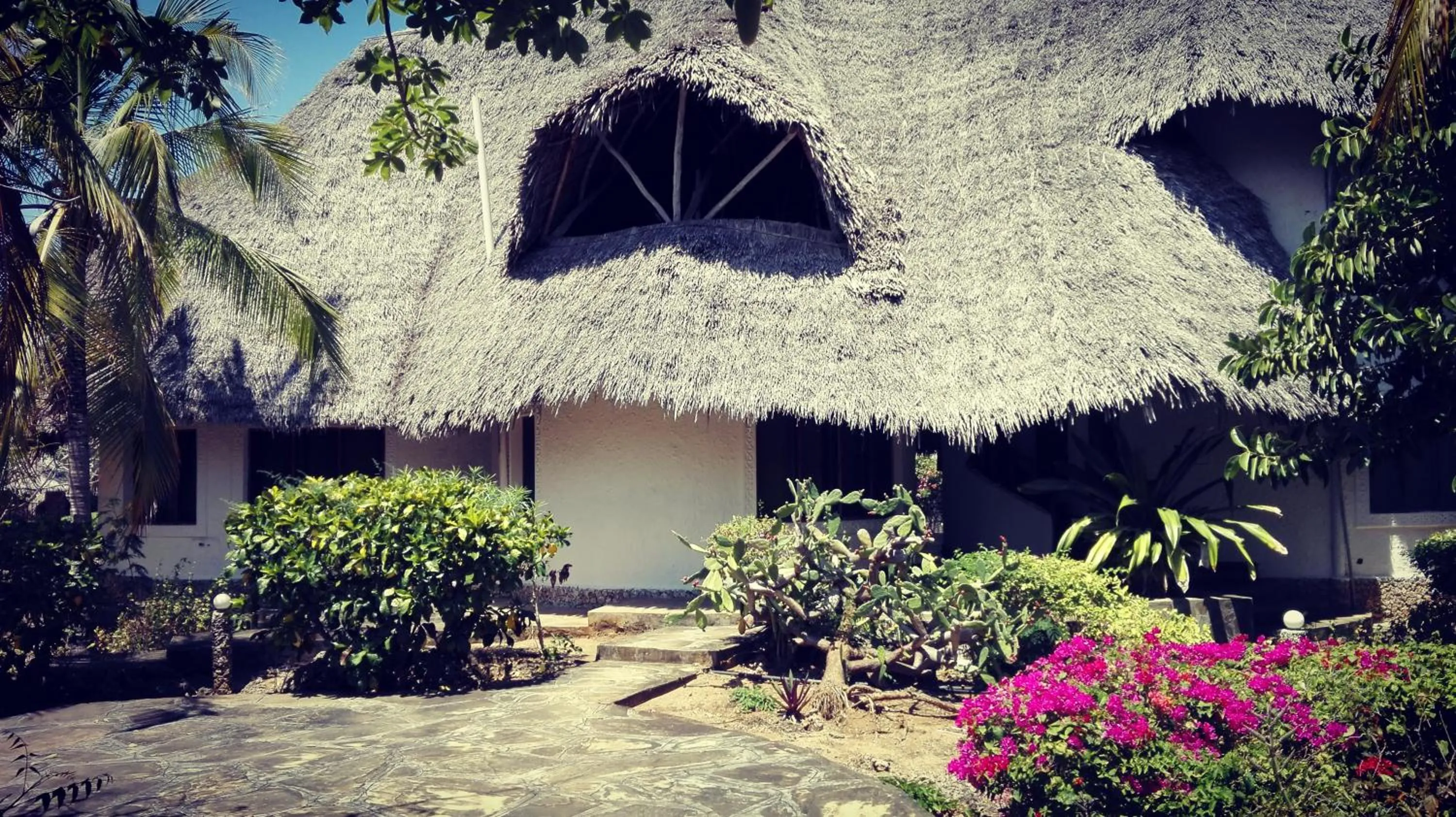 Villa in Flamingo Villas Resort