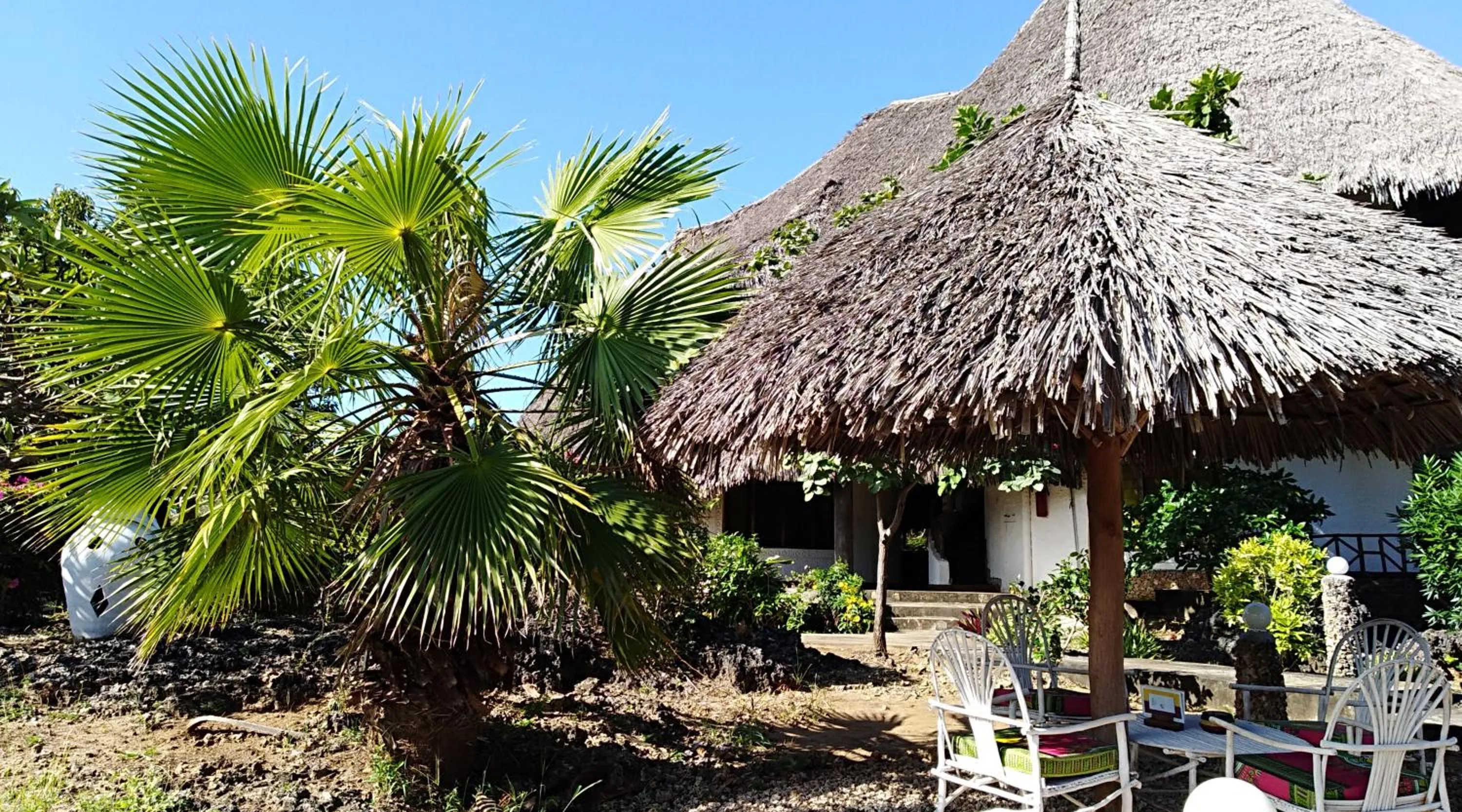 Garden in Flamingo Villas Resort