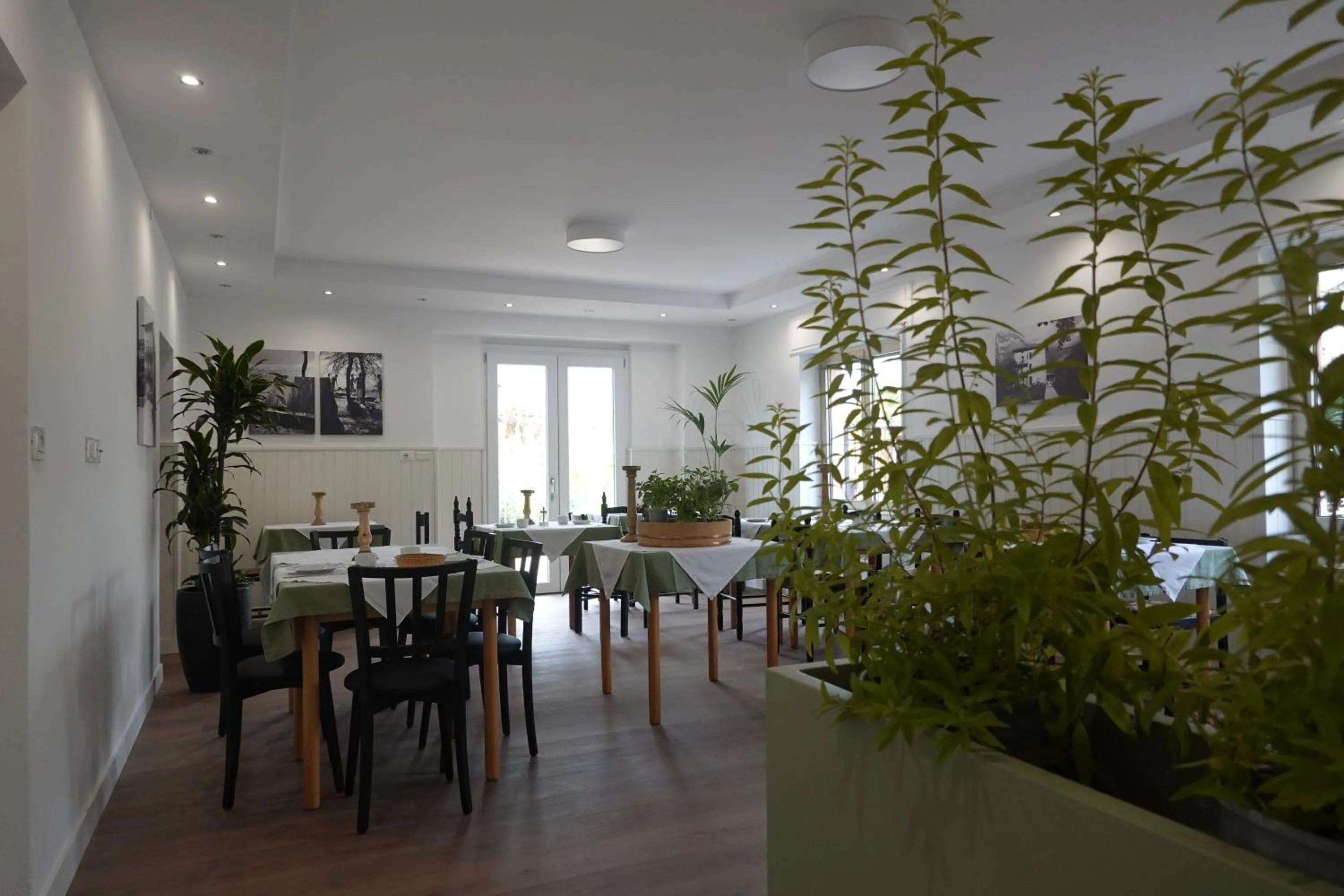 Restaurant/places to eat in Casa Beniamino