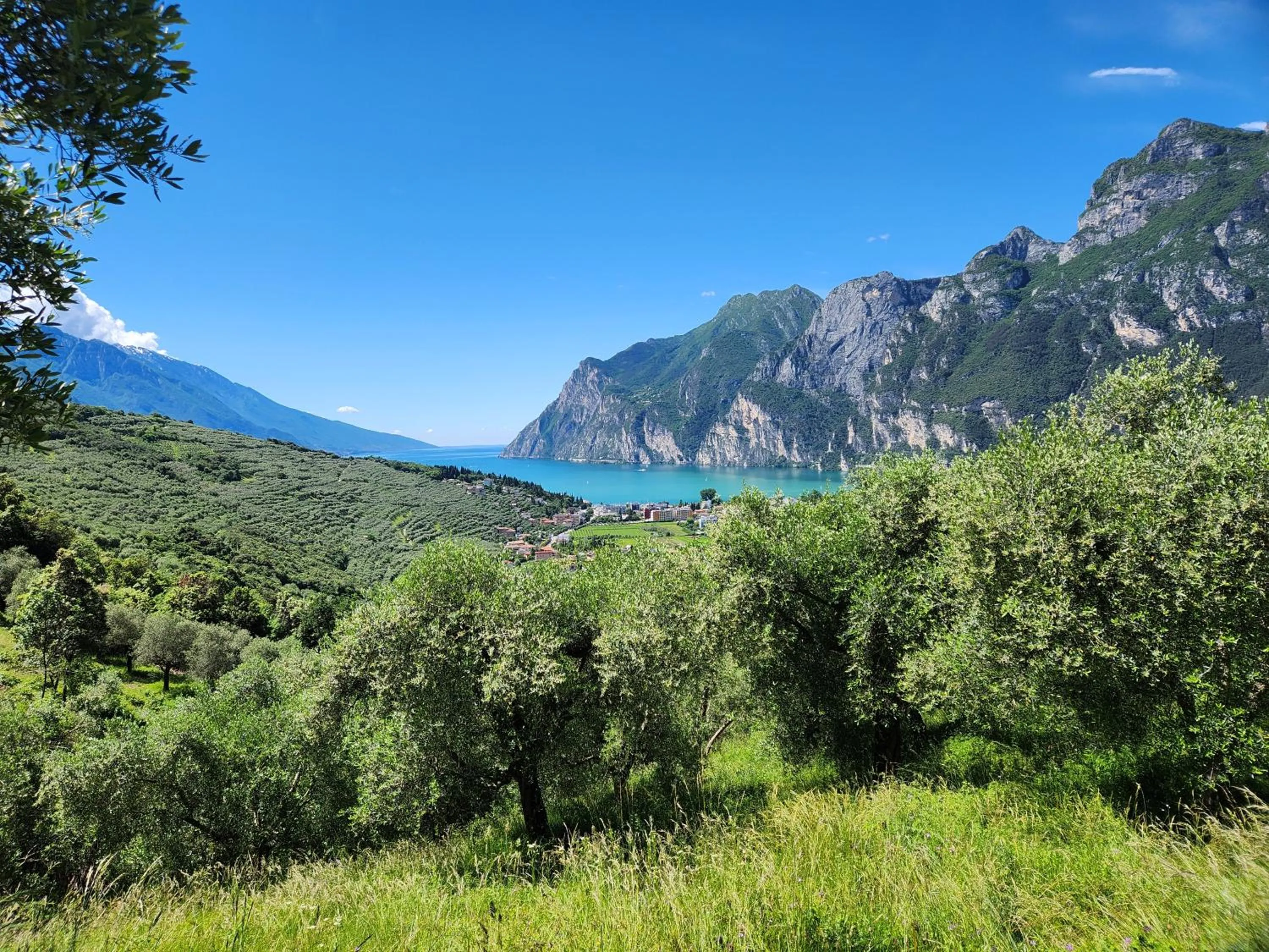 Natural landscape in Casa Beniamino