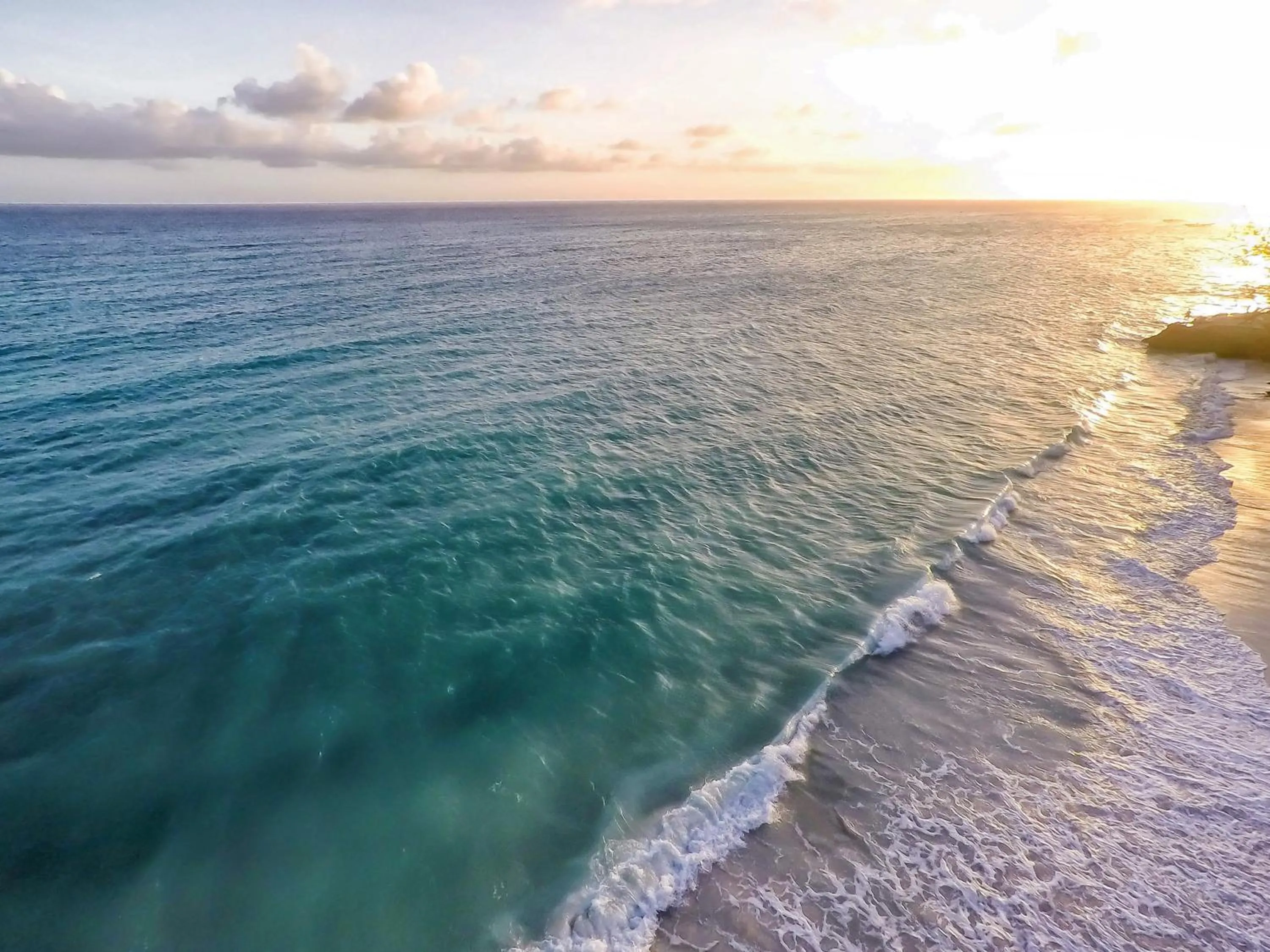 Beach in Sea Breeze Beach House All Inclusive by Ocean Hotels