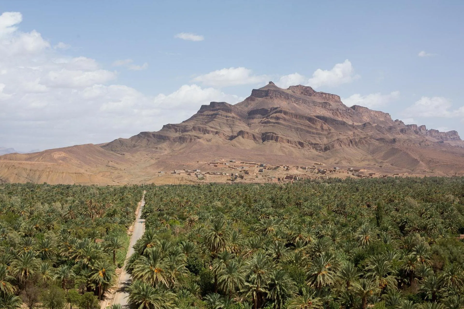 Natural landscape in Ecolodge La Palmeraie