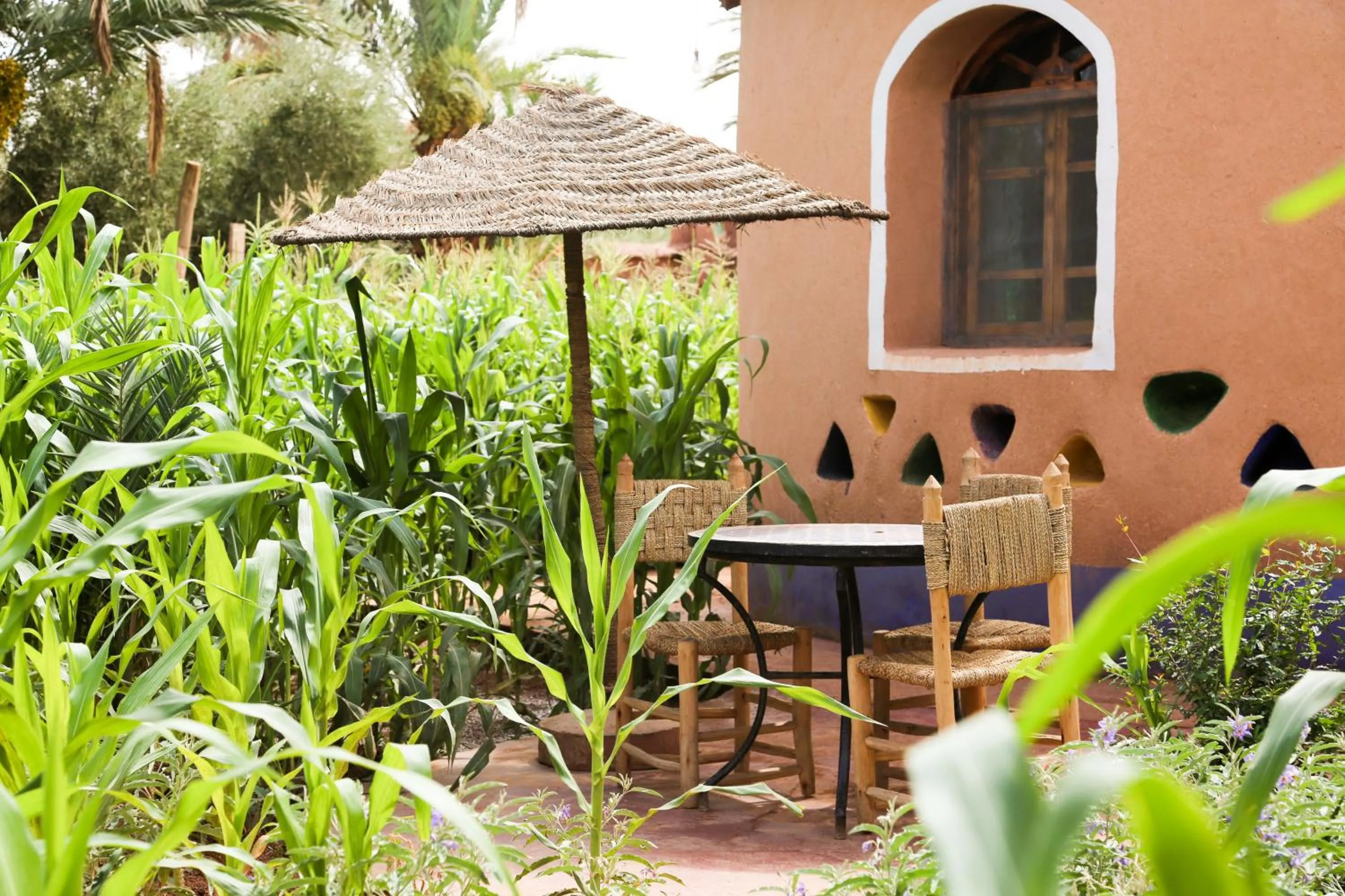 Balcony/Terrace in Ecolodge La Palmeraie