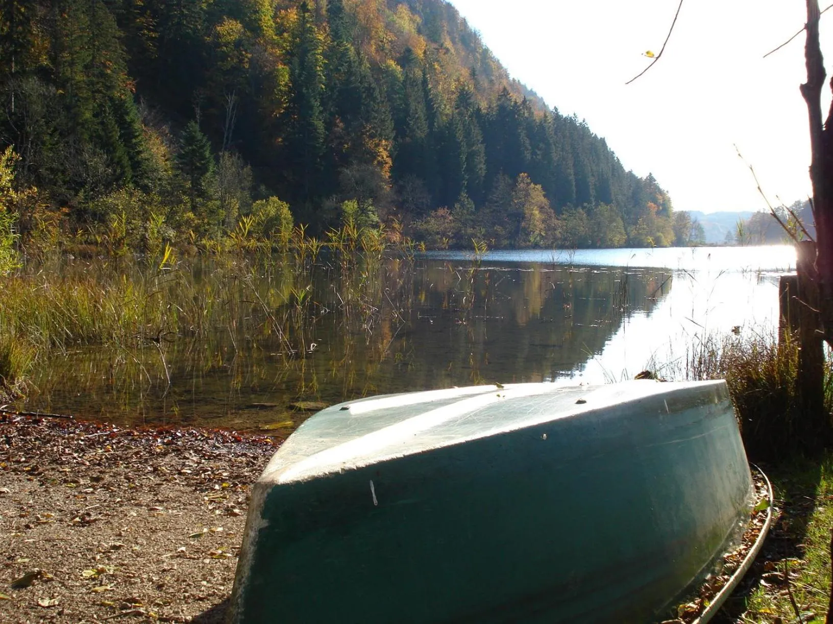 Area and facilities in Auberge du Hérisson