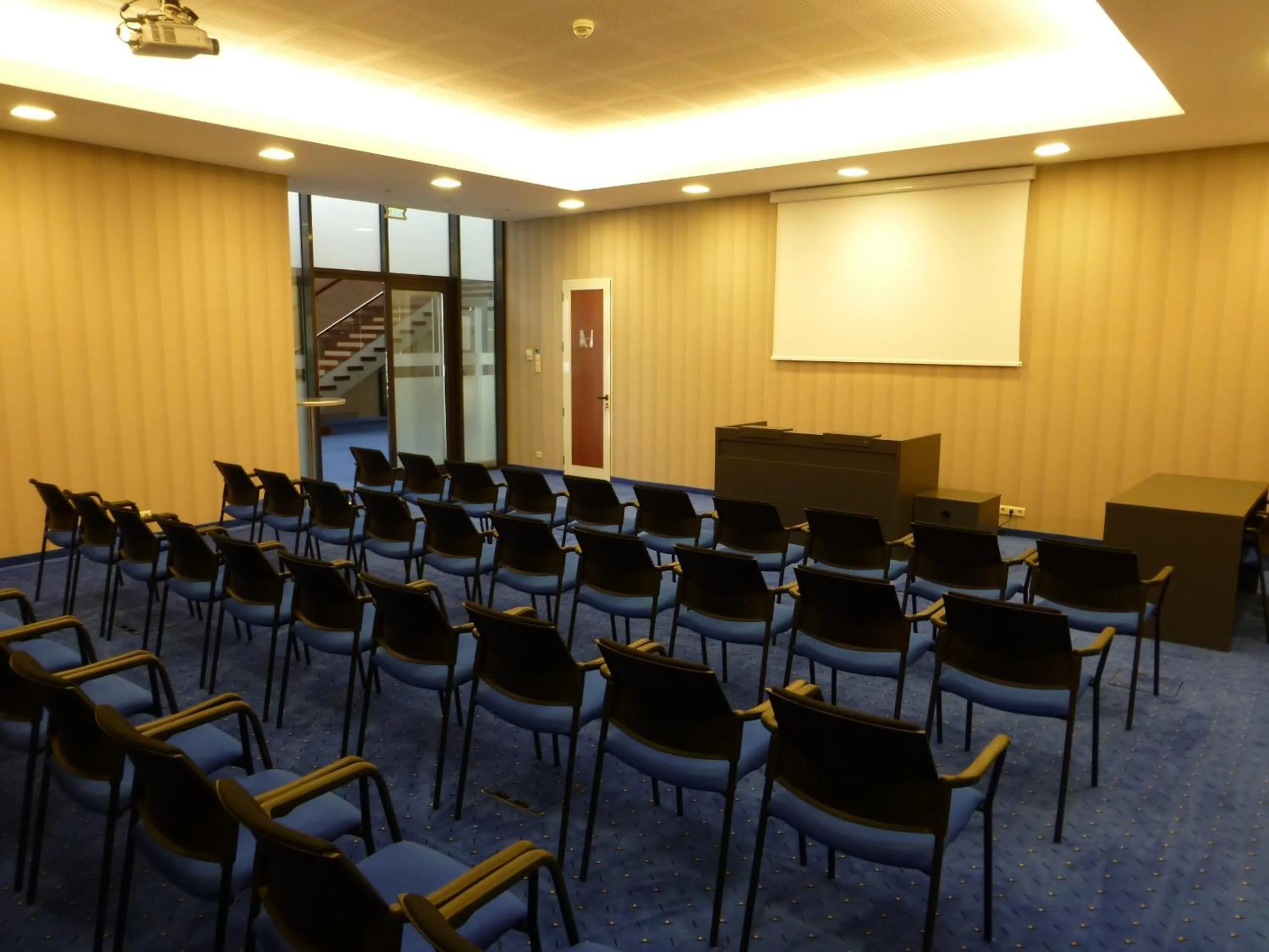 Business facilities in Hotel Doina