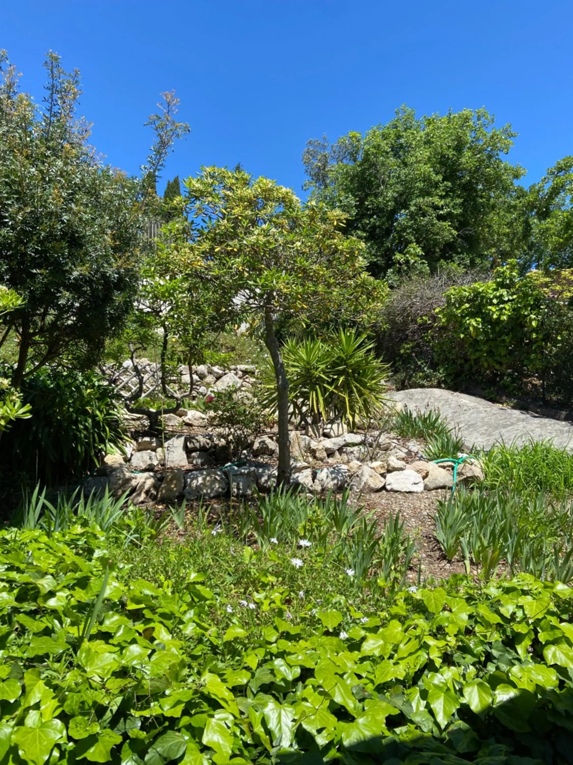 Garden view in Les Belles Terrasses