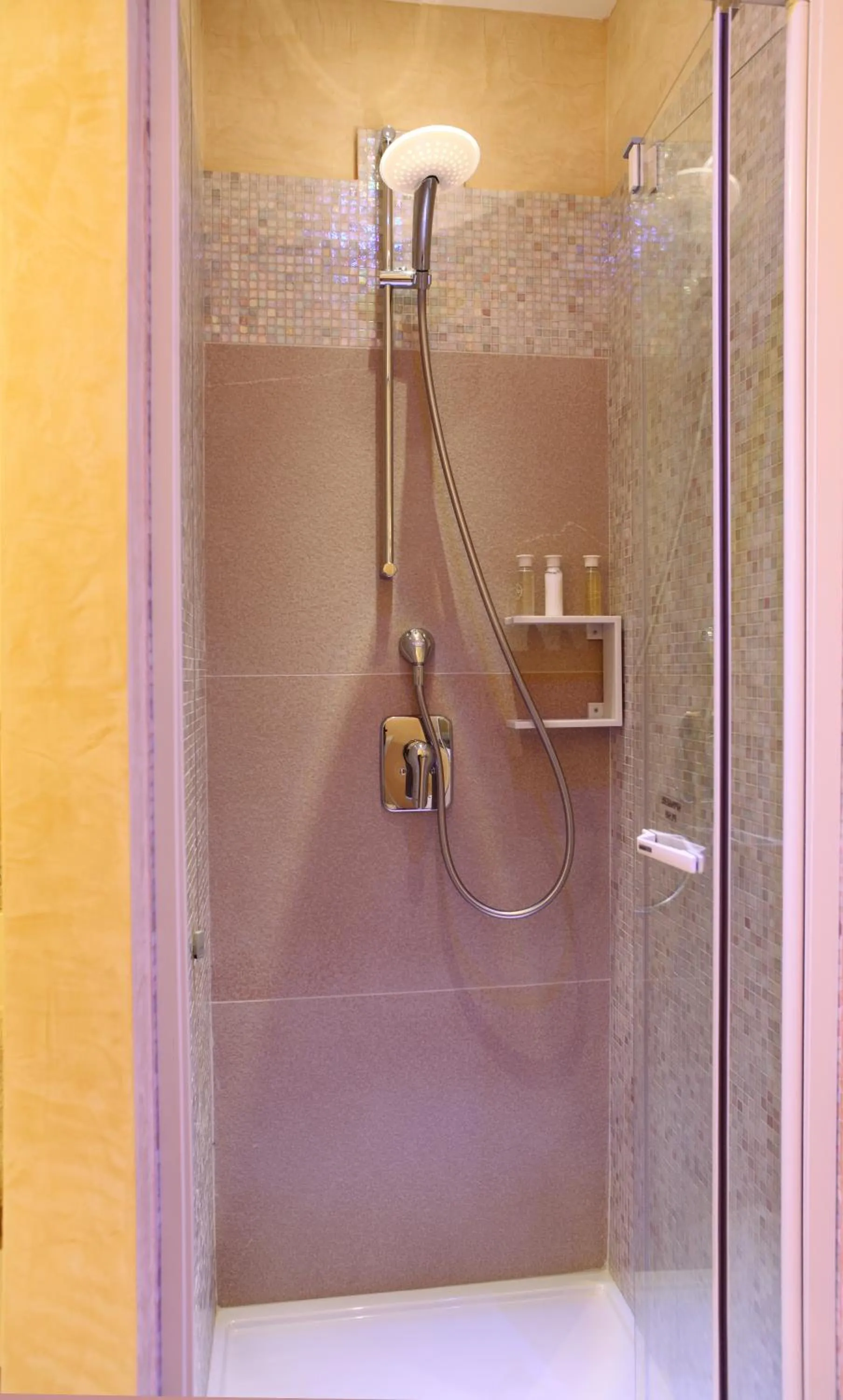 Shower in Suite & Spa Mirabel