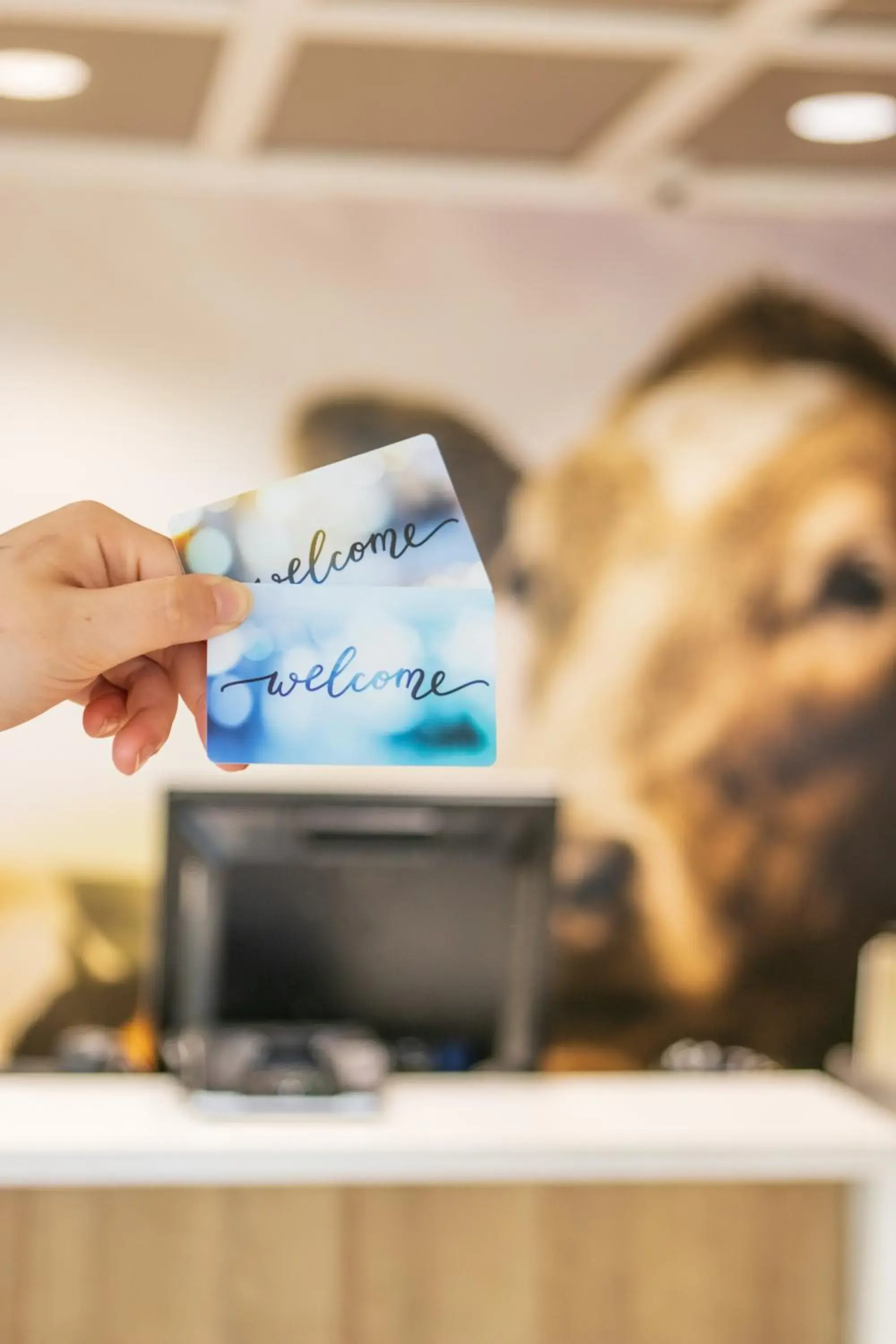 Lobby or reception in The Tillamook Inn Lobby or reception in The Tillamook Inn