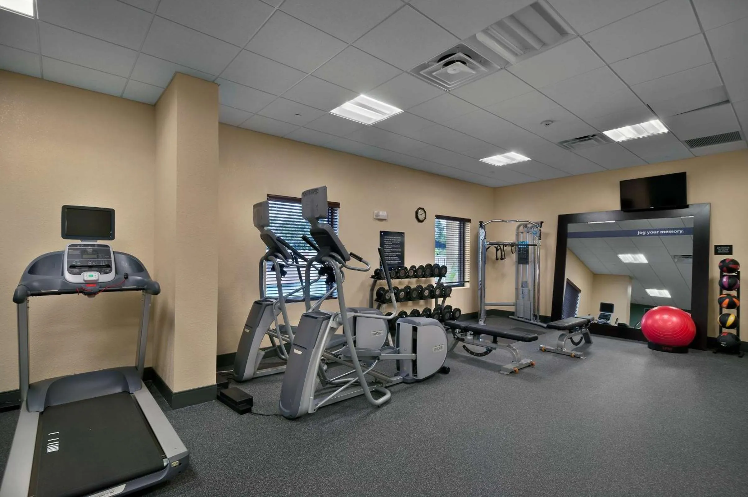 Fitness centre/facilities in Hampton Inn & Suites Tampa Northwest/Oldsmar