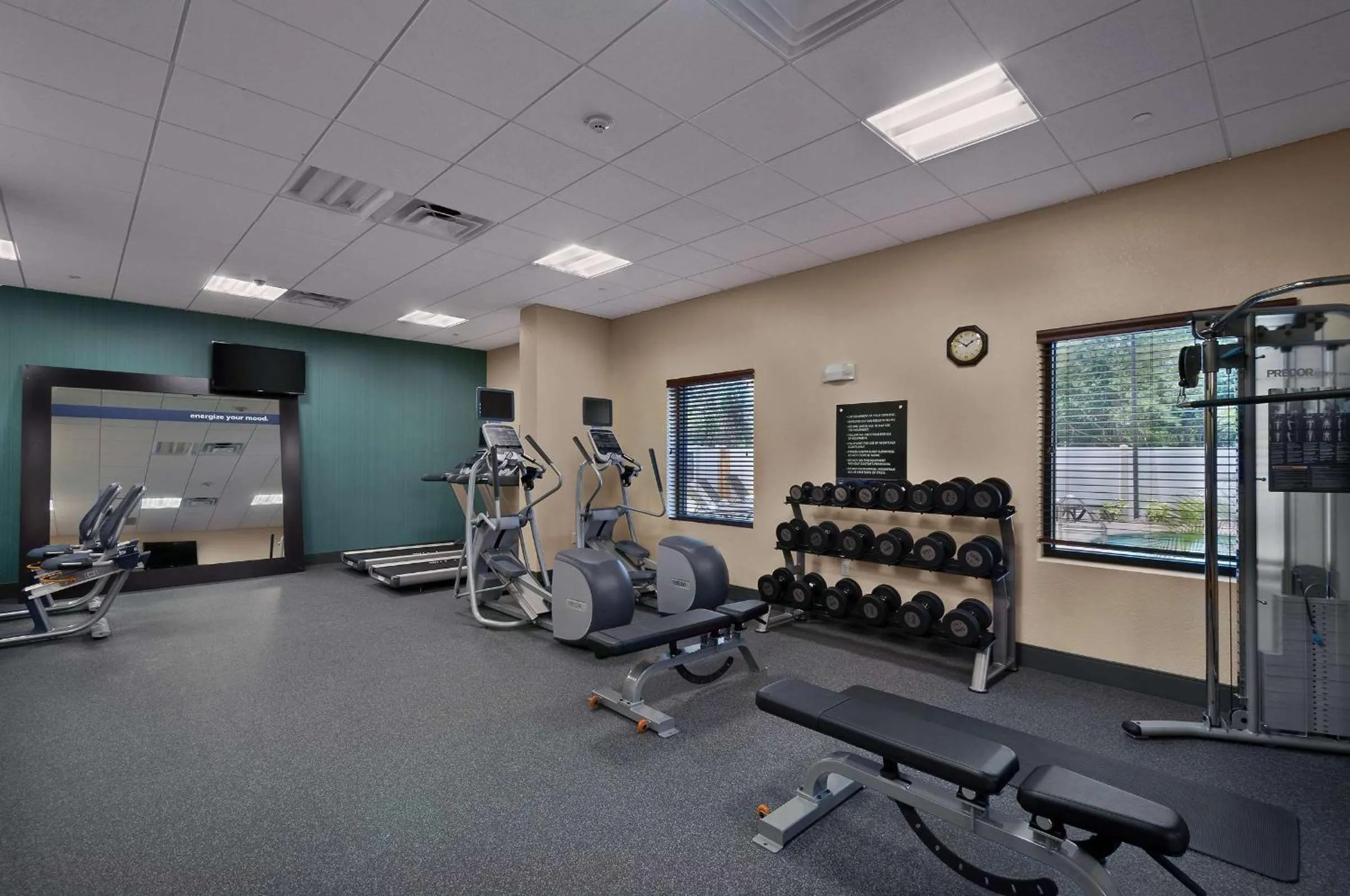 Fitness centre/facilities in Hampton Inn & Suites Tampa Northwest/Oldsmar