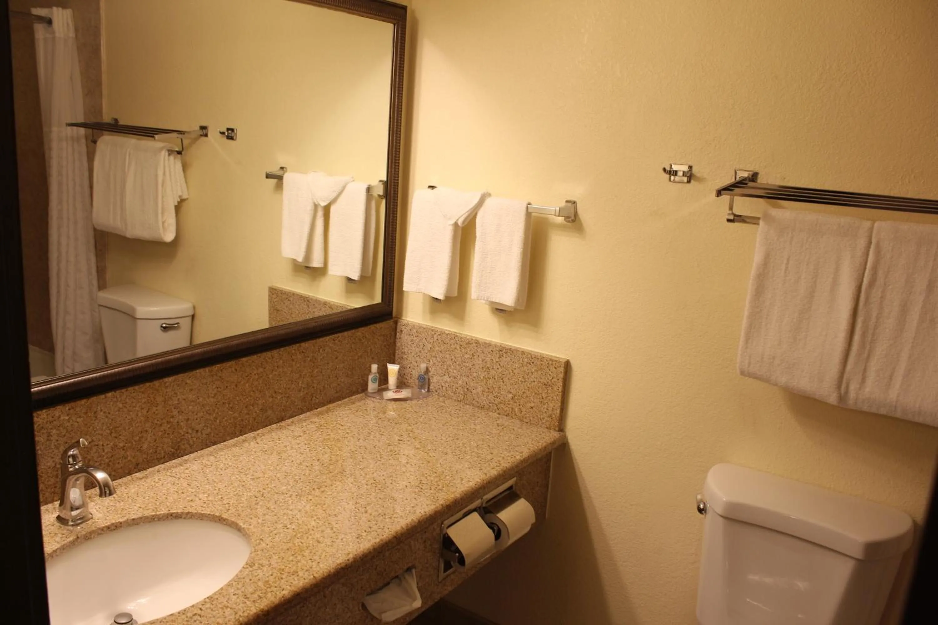 Bathroom in Hotel Americana