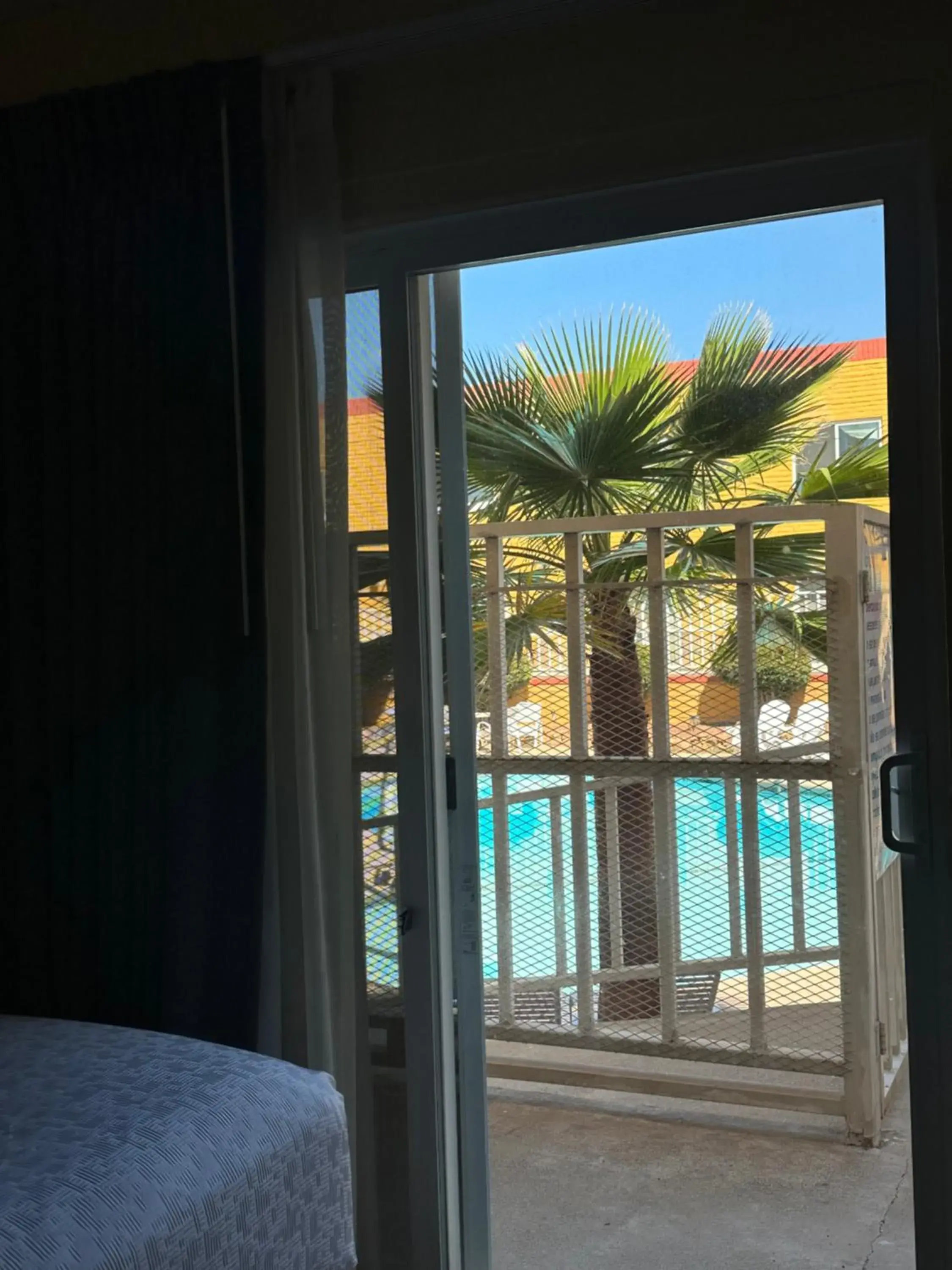 Pool view in Hotel Americana Pool view in Hotel Americana