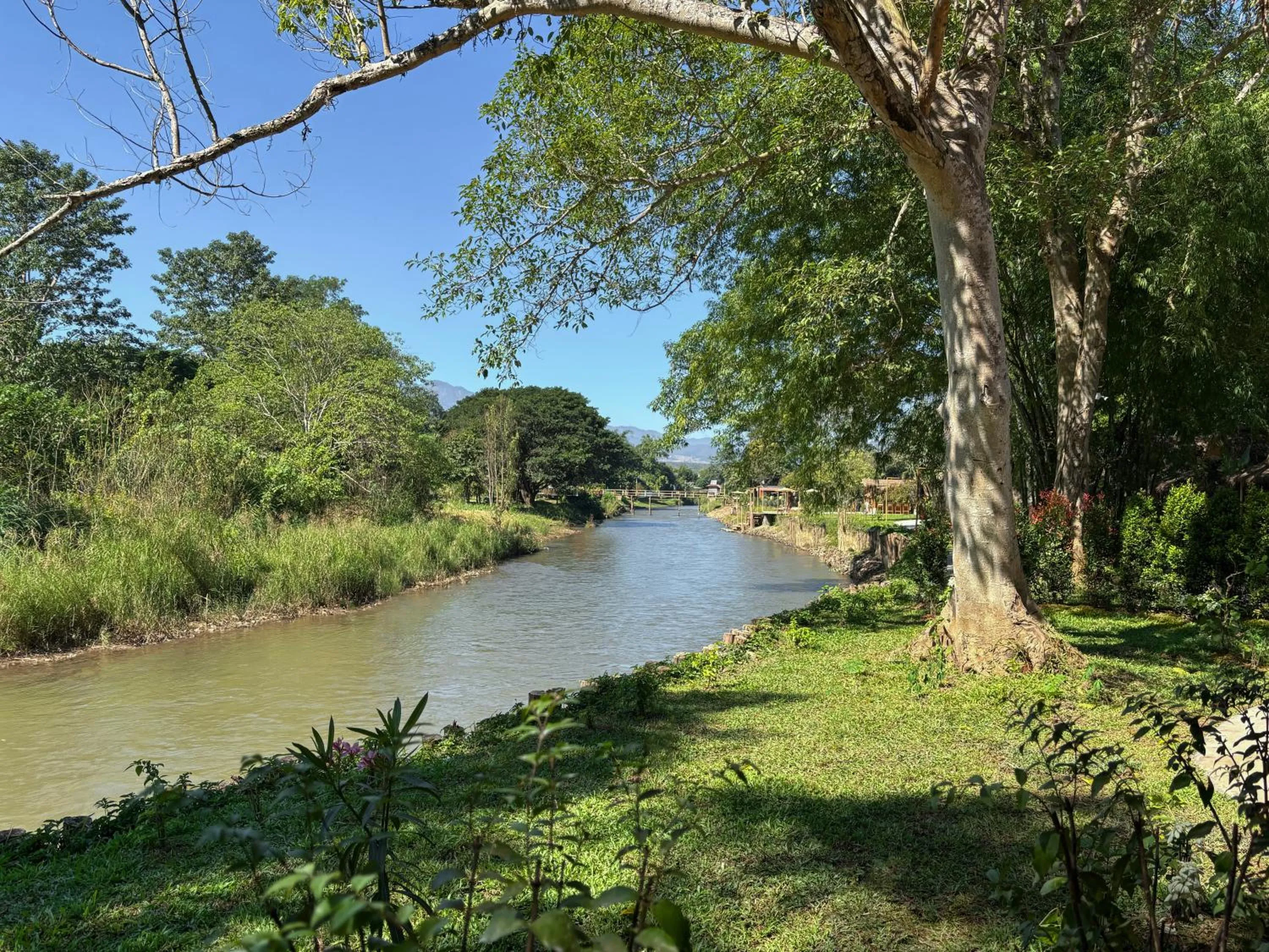 View (from property/room) in The Riverfront Reserve