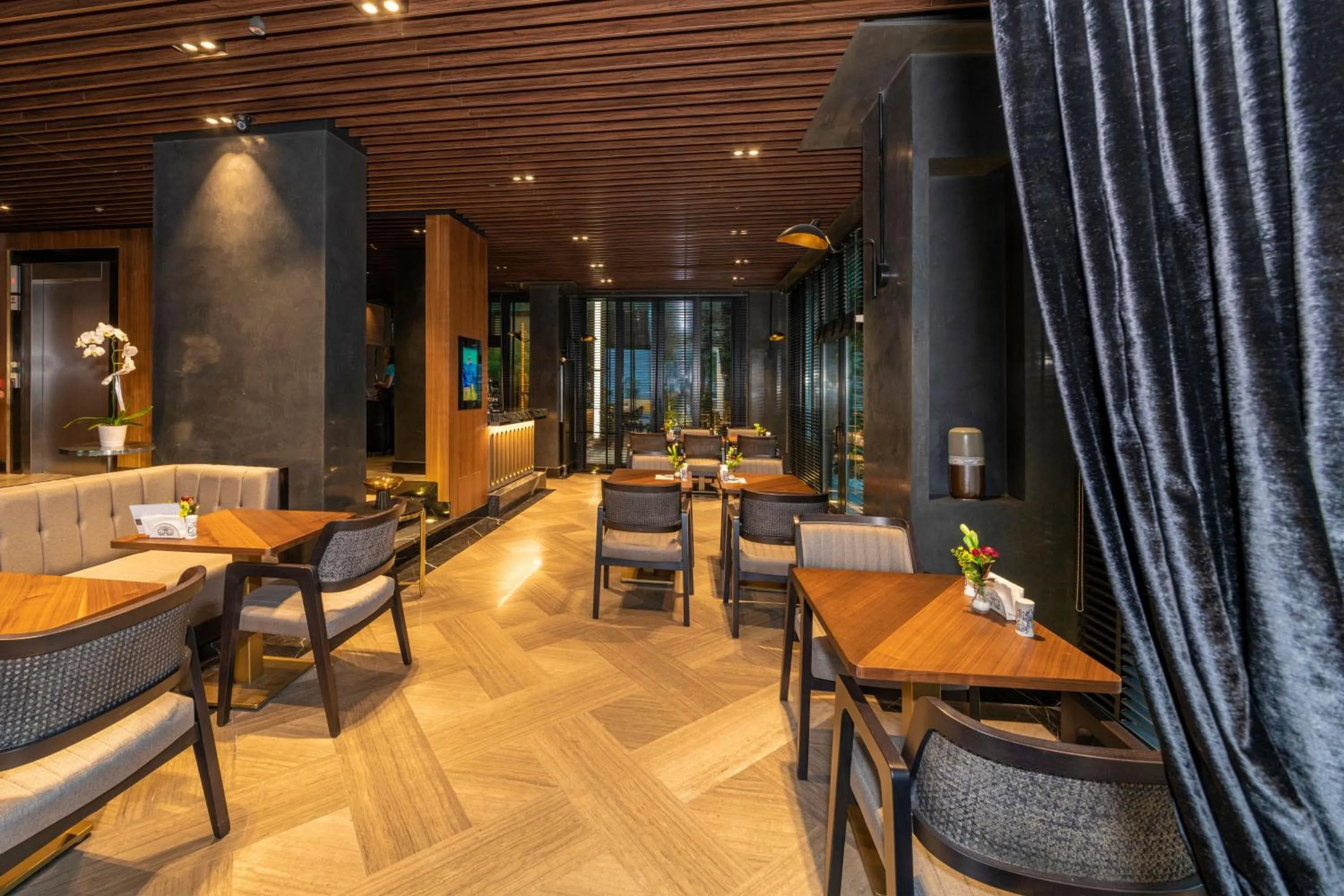 Lounge or bar in Opale Hotel