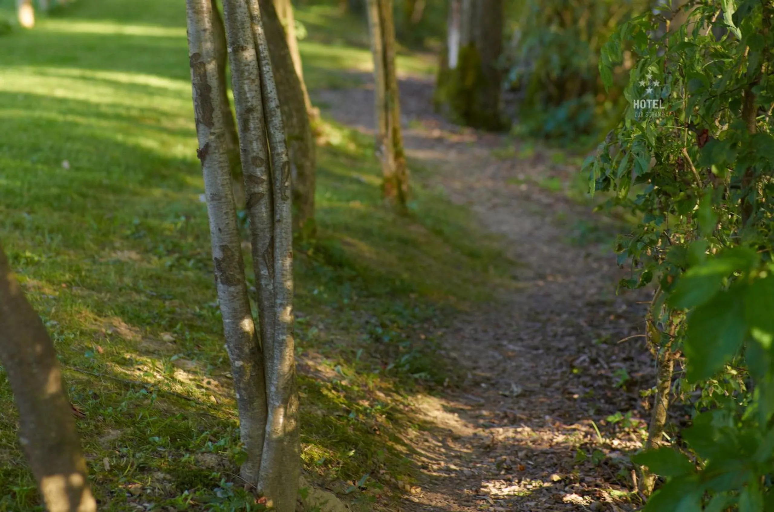 Garden in Hotel B&B "Zur Schanz"