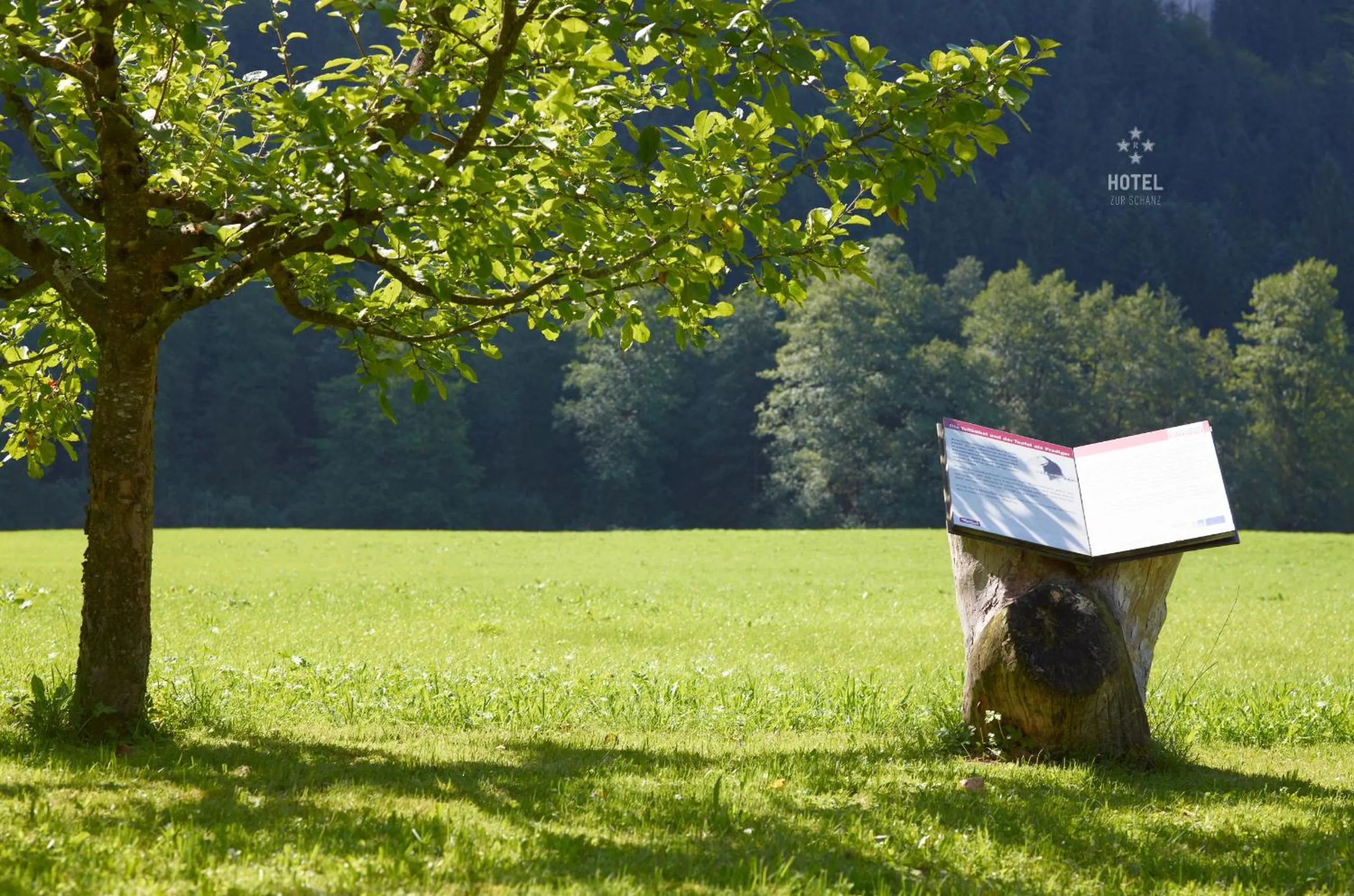 Garden in Hotel B&B "Zur Schanz"