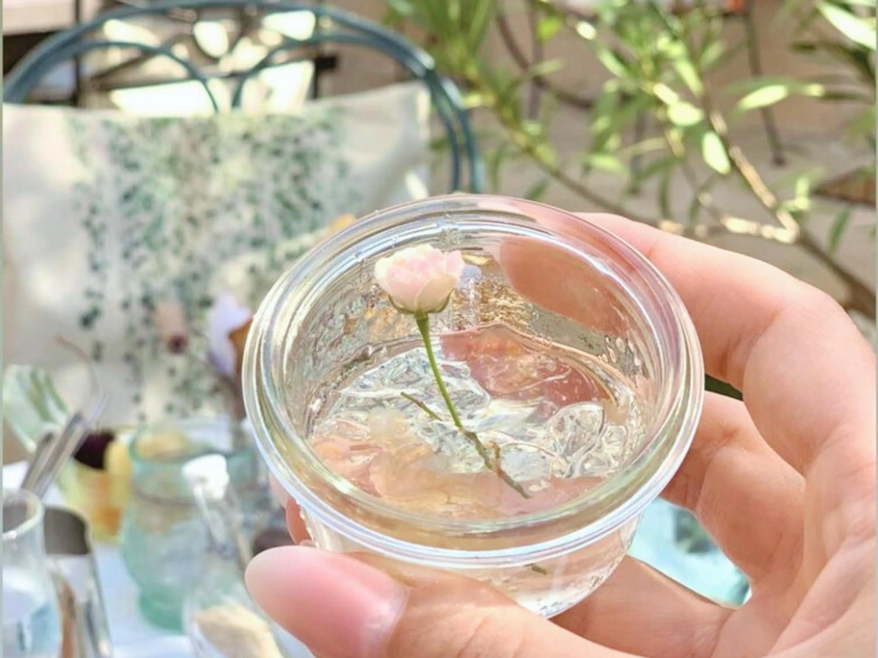 Breakfast in La Jabotte