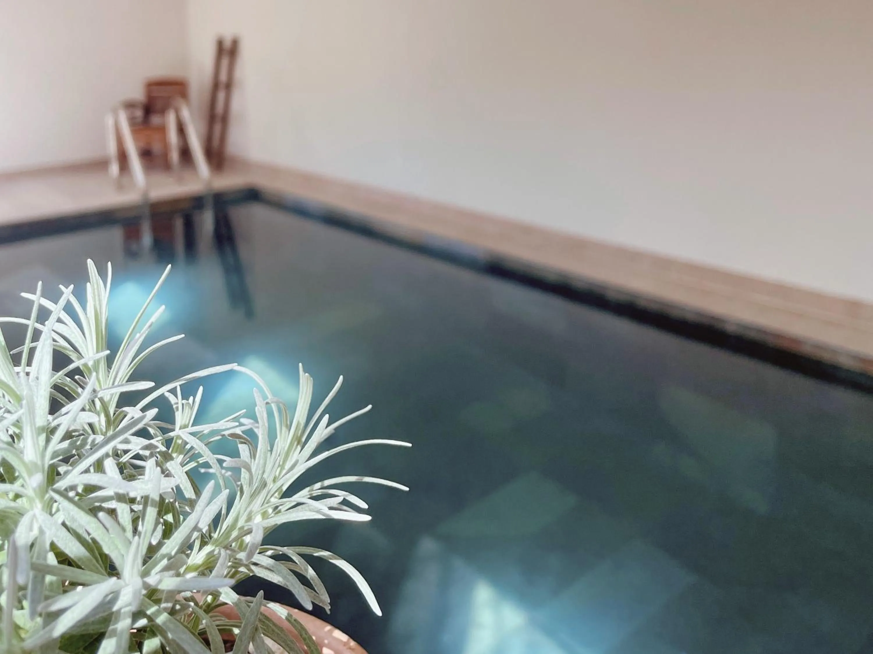 Swimming pool in La Jabotte