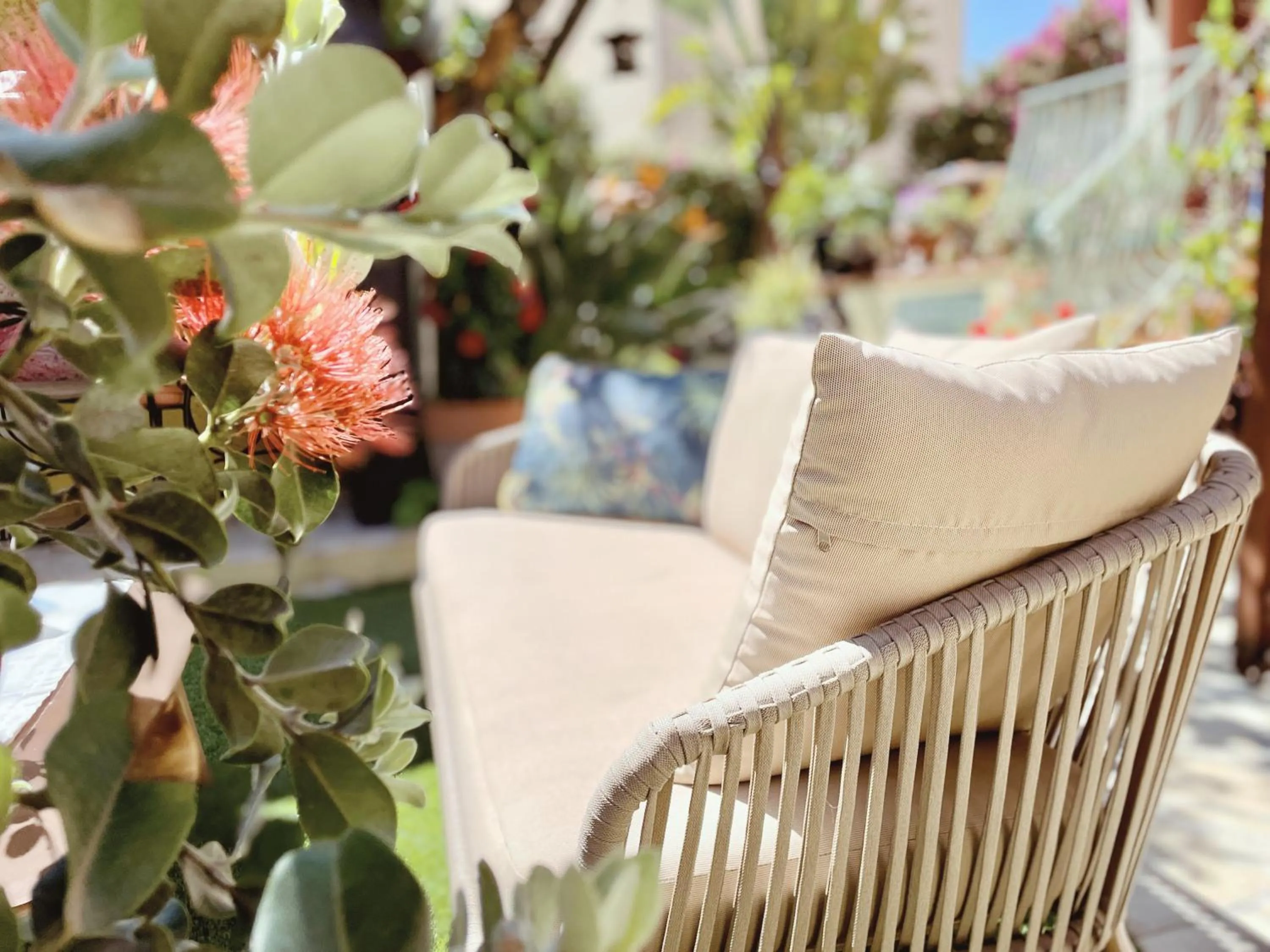 Garden in La Jabotte