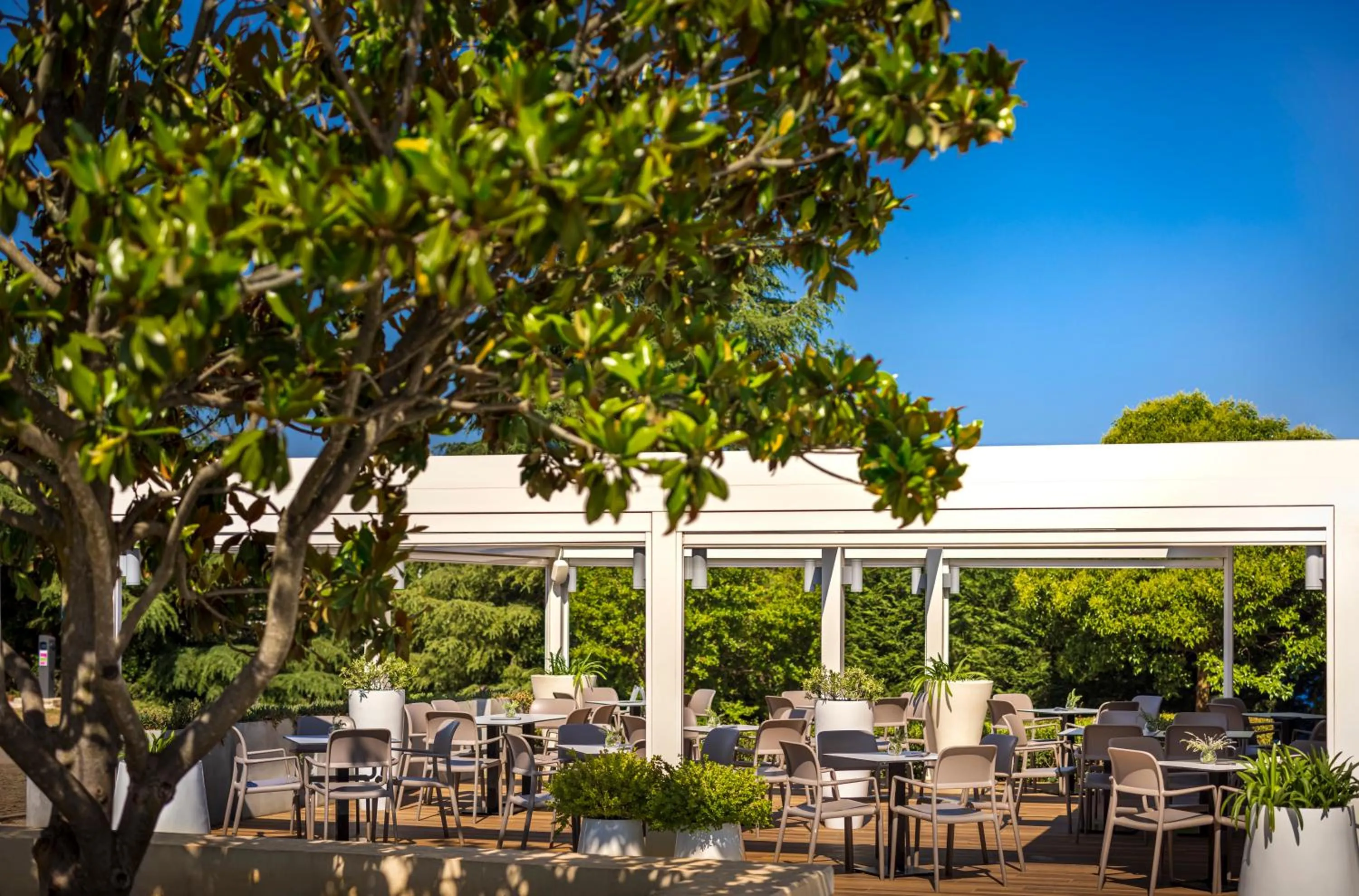 Restaurant/places to eat in Maistra Camping Polari Mobile homes