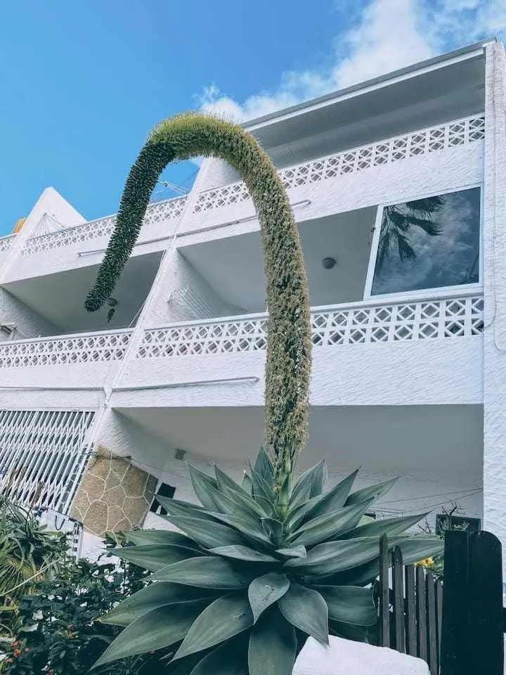Facade/entrance in Loft on the beach Corralejo iRent Fuerteventura
