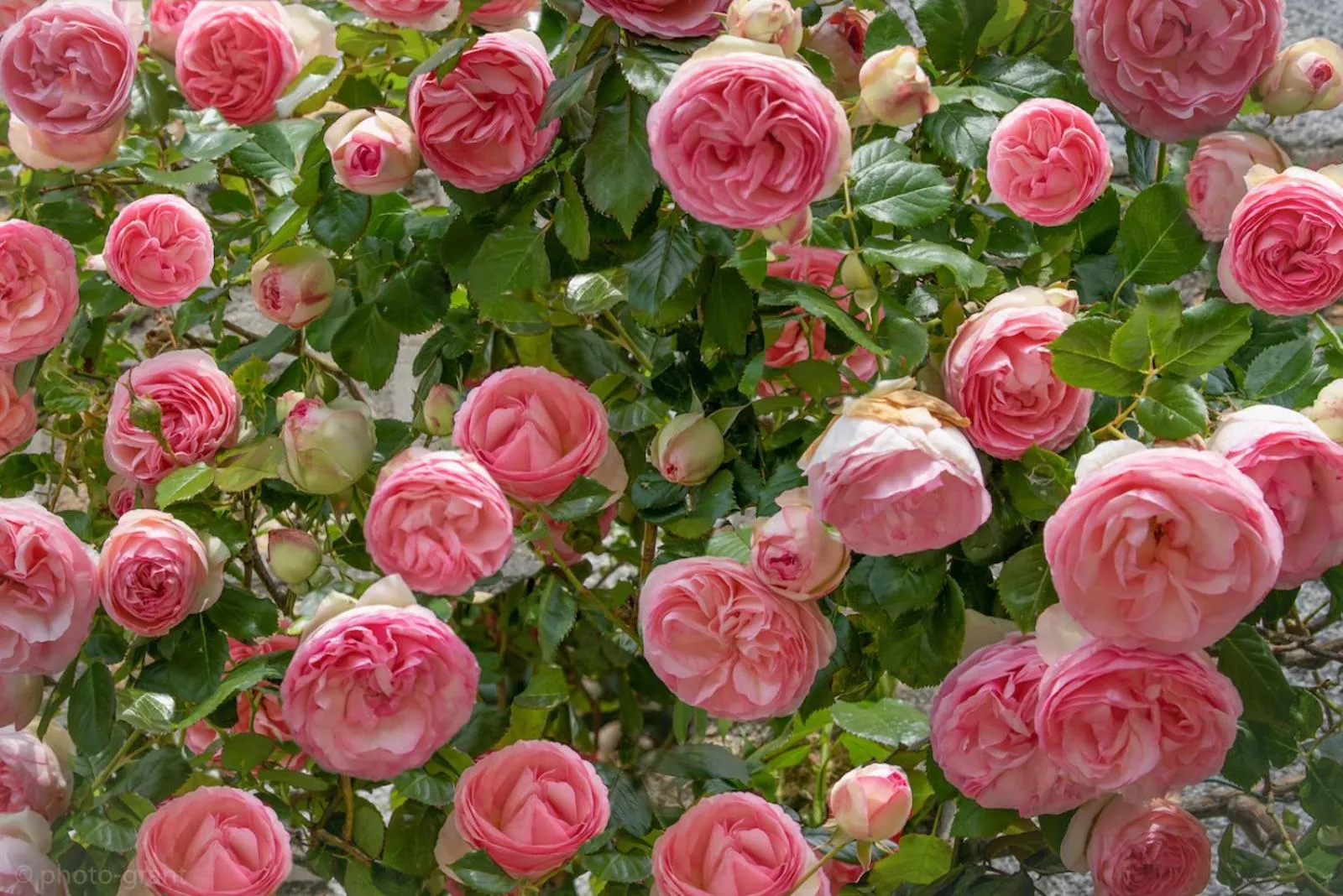 Natural landscape in Maison d'hôtes de charme La Rose de Ducey près du Mont Saint Michel